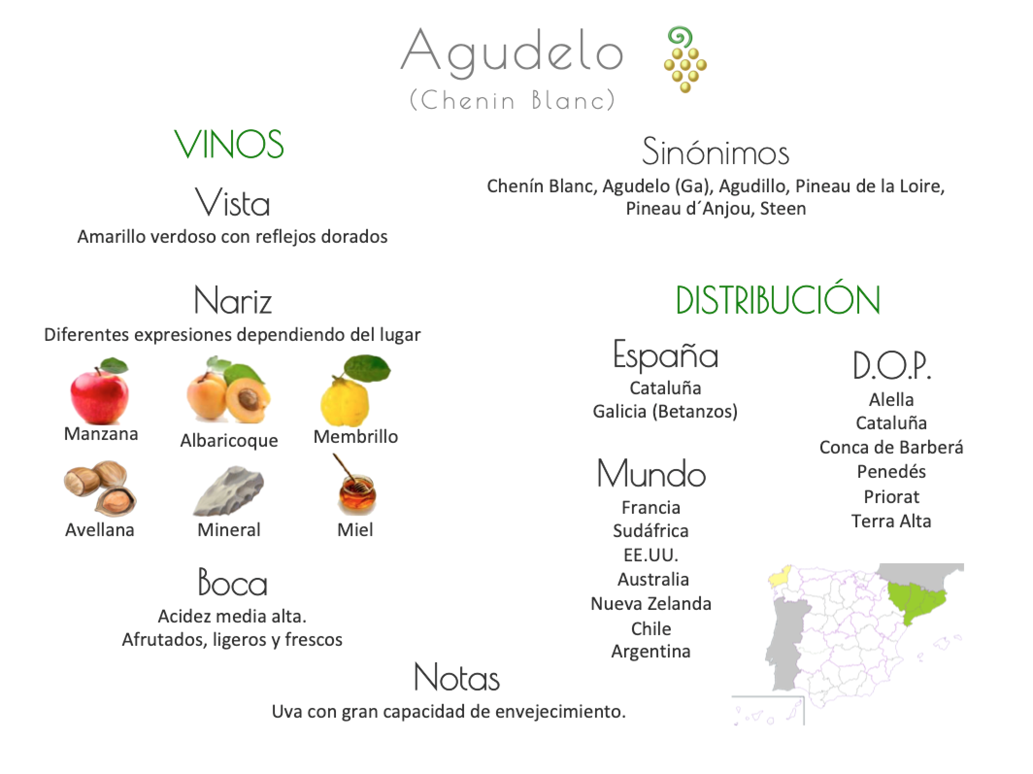 Sinónimo de Airén