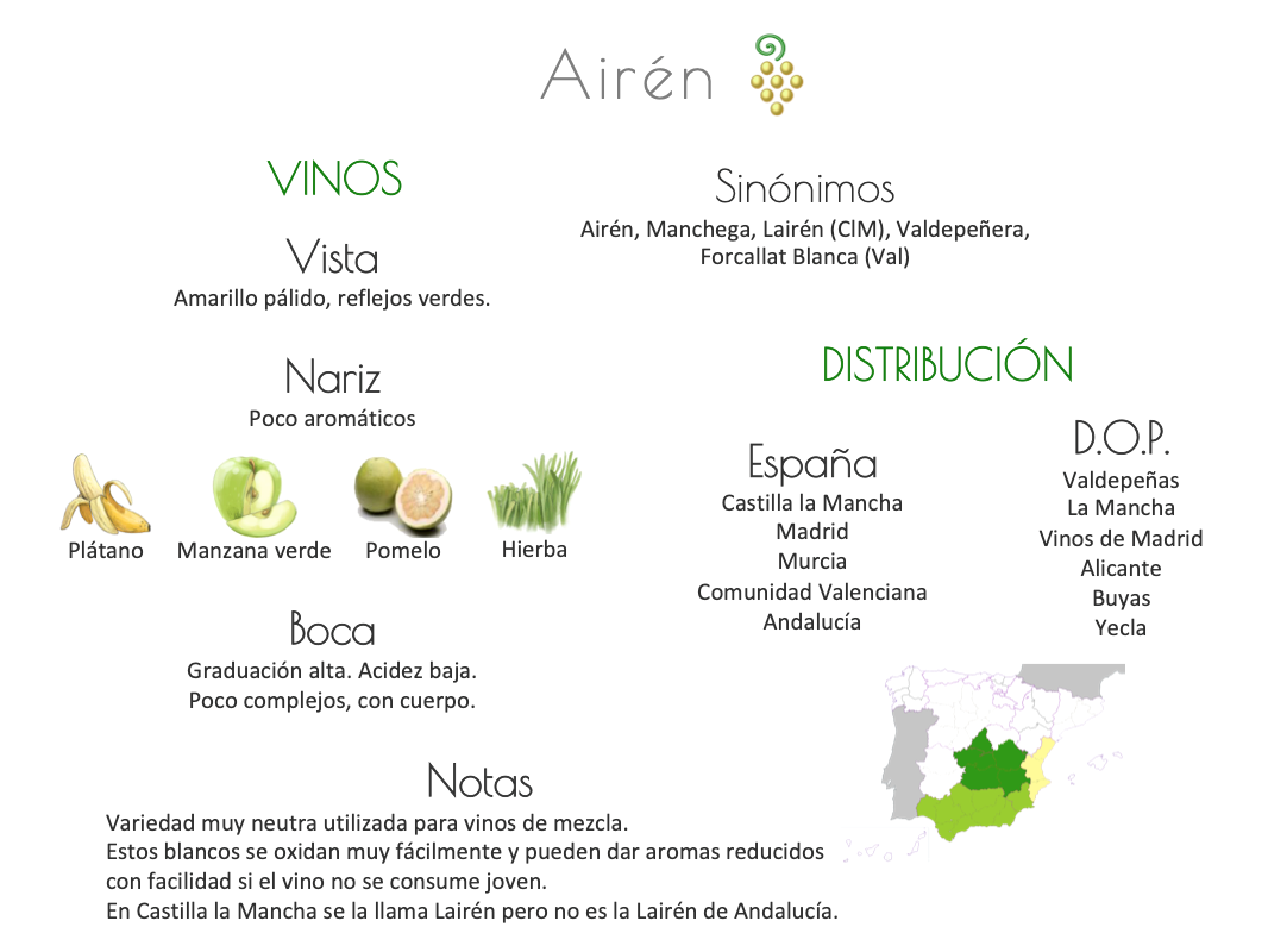 Sinónimo de Airén