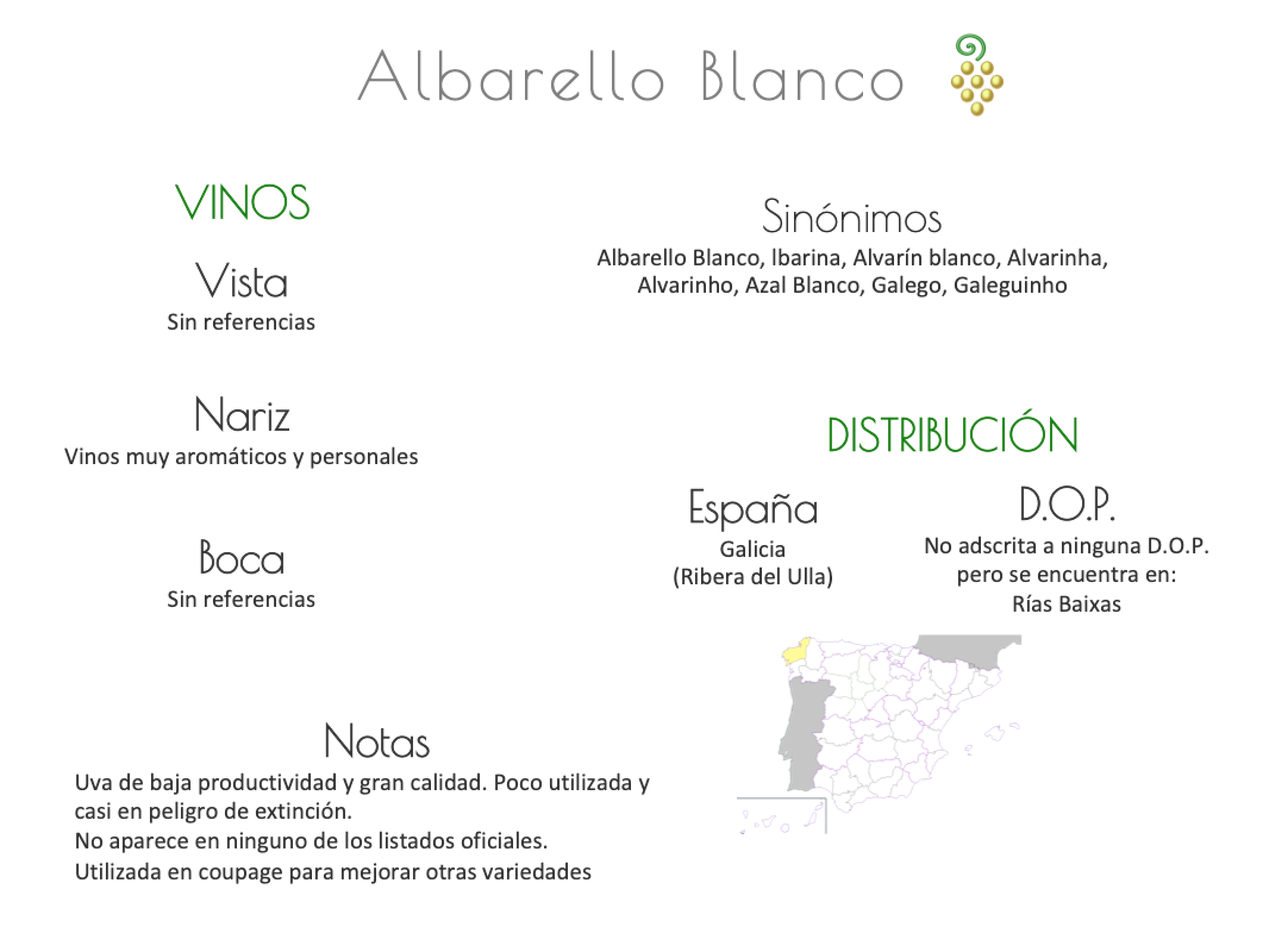 Sinónimo de Airén