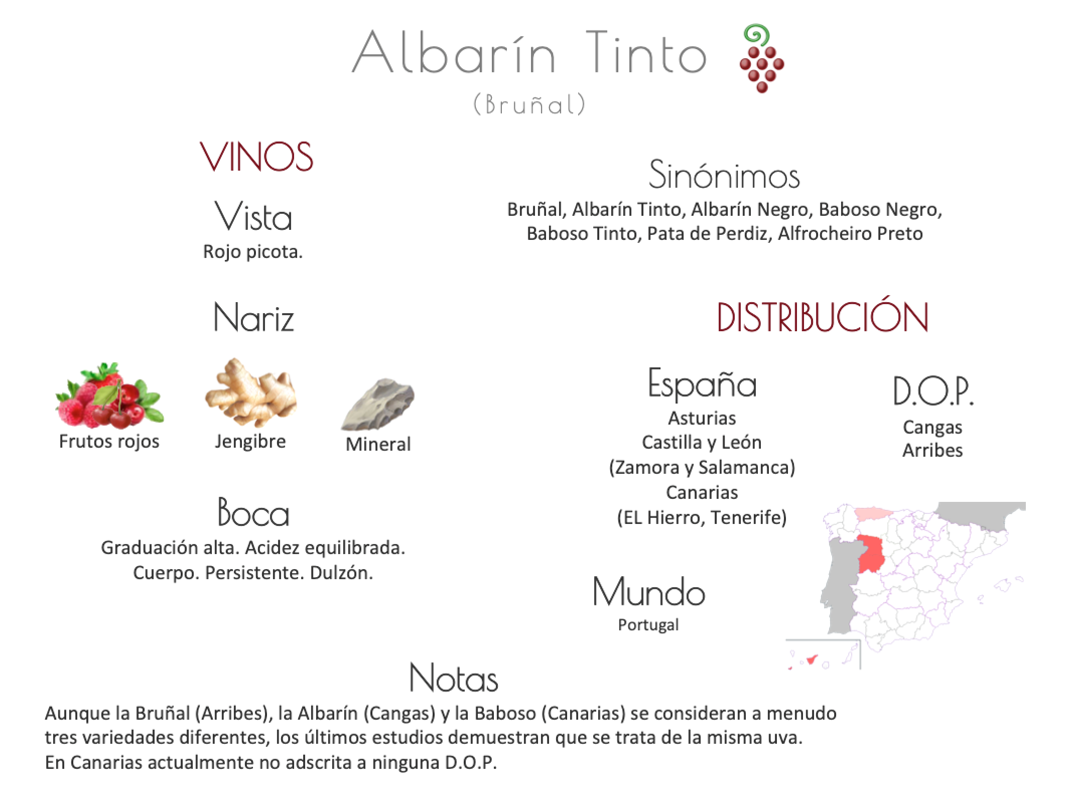 Sinónimo de Airén