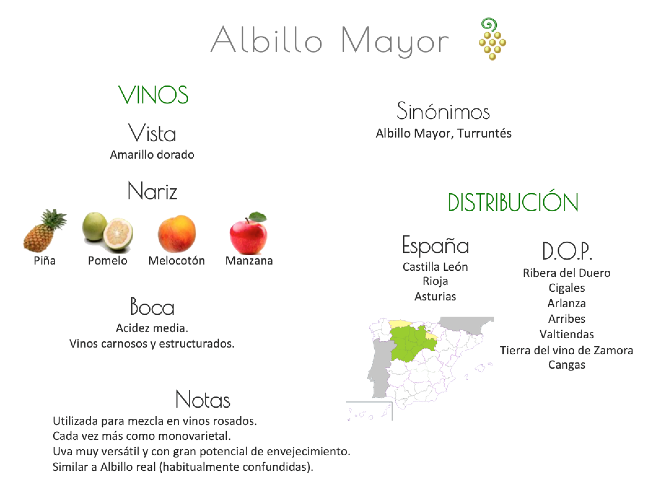 Sinónimo de Airén