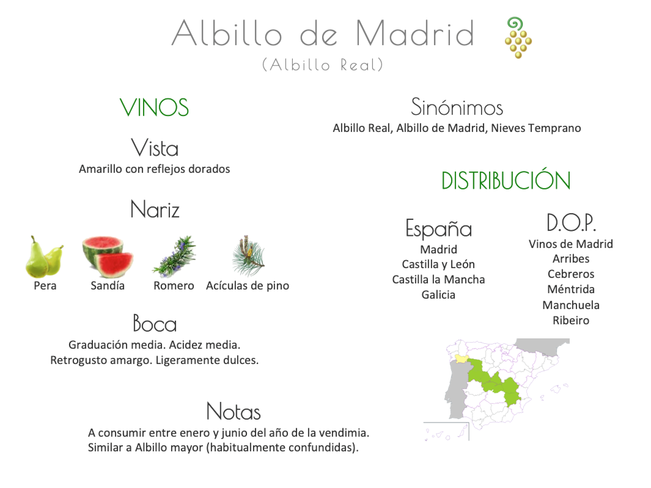 Sinónimo de Airén