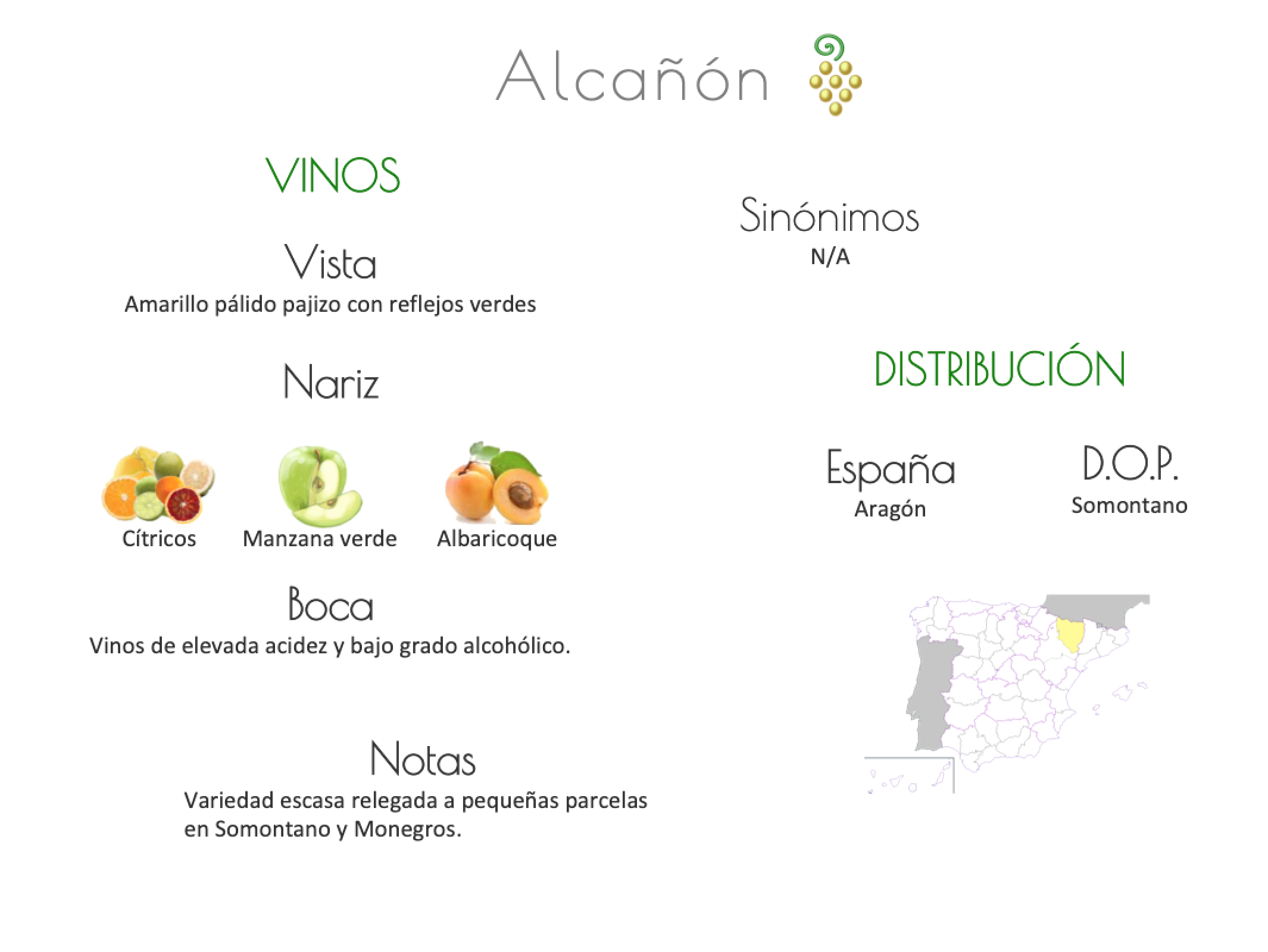 Sinónimo de Airén