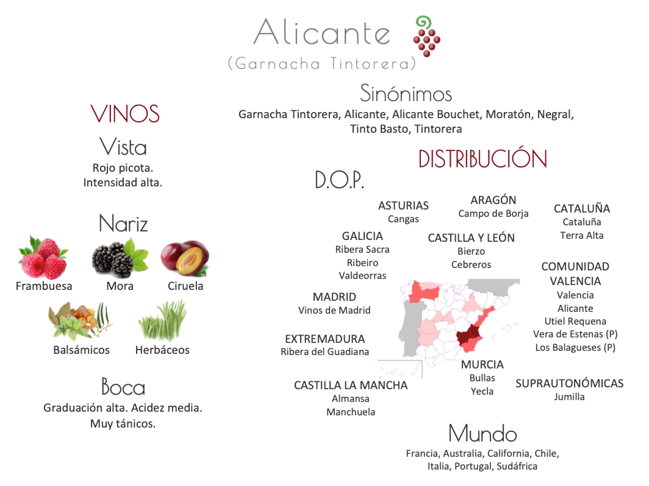 Sinónimo de Airén