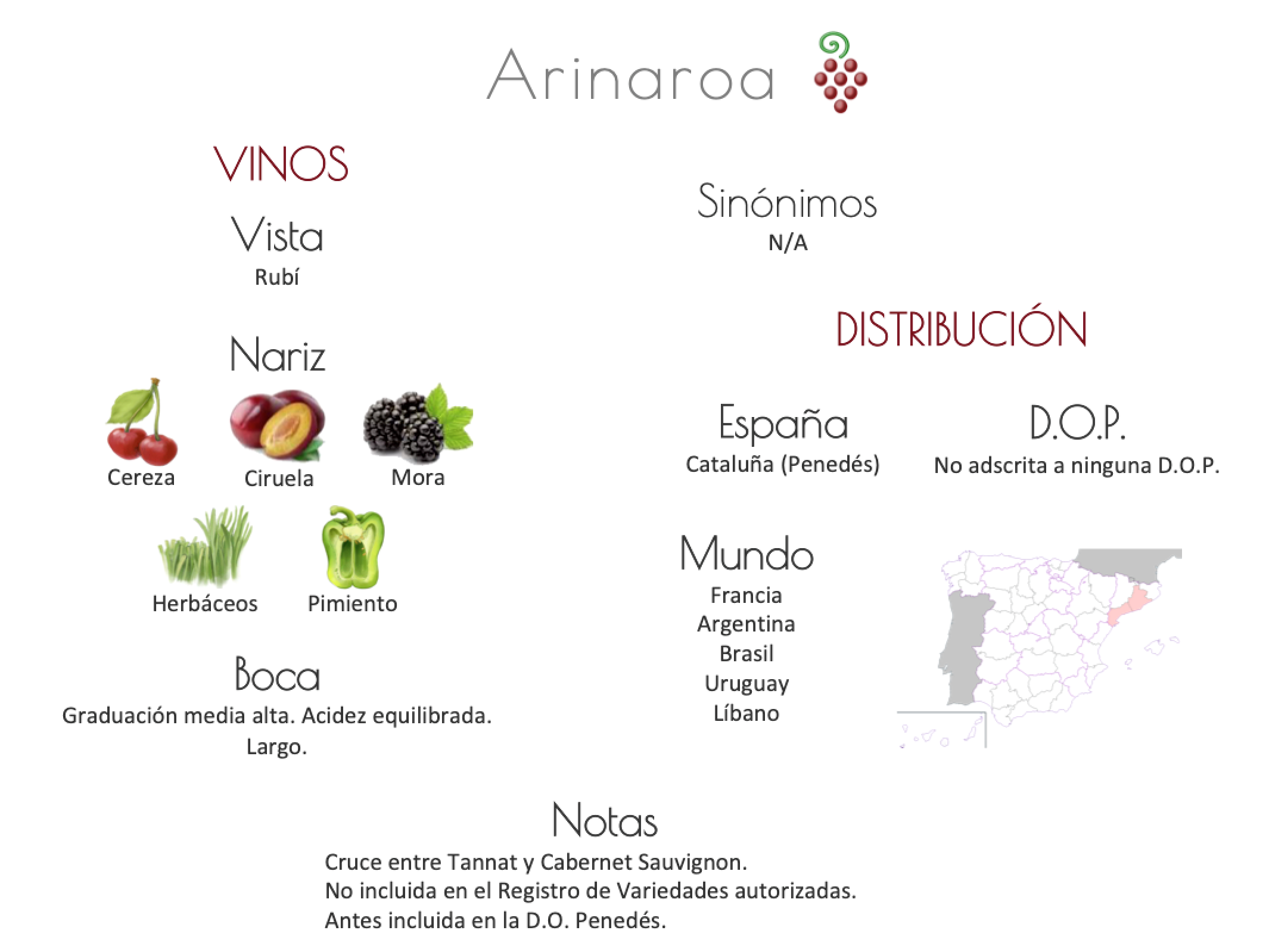 Sinónimo de Airén