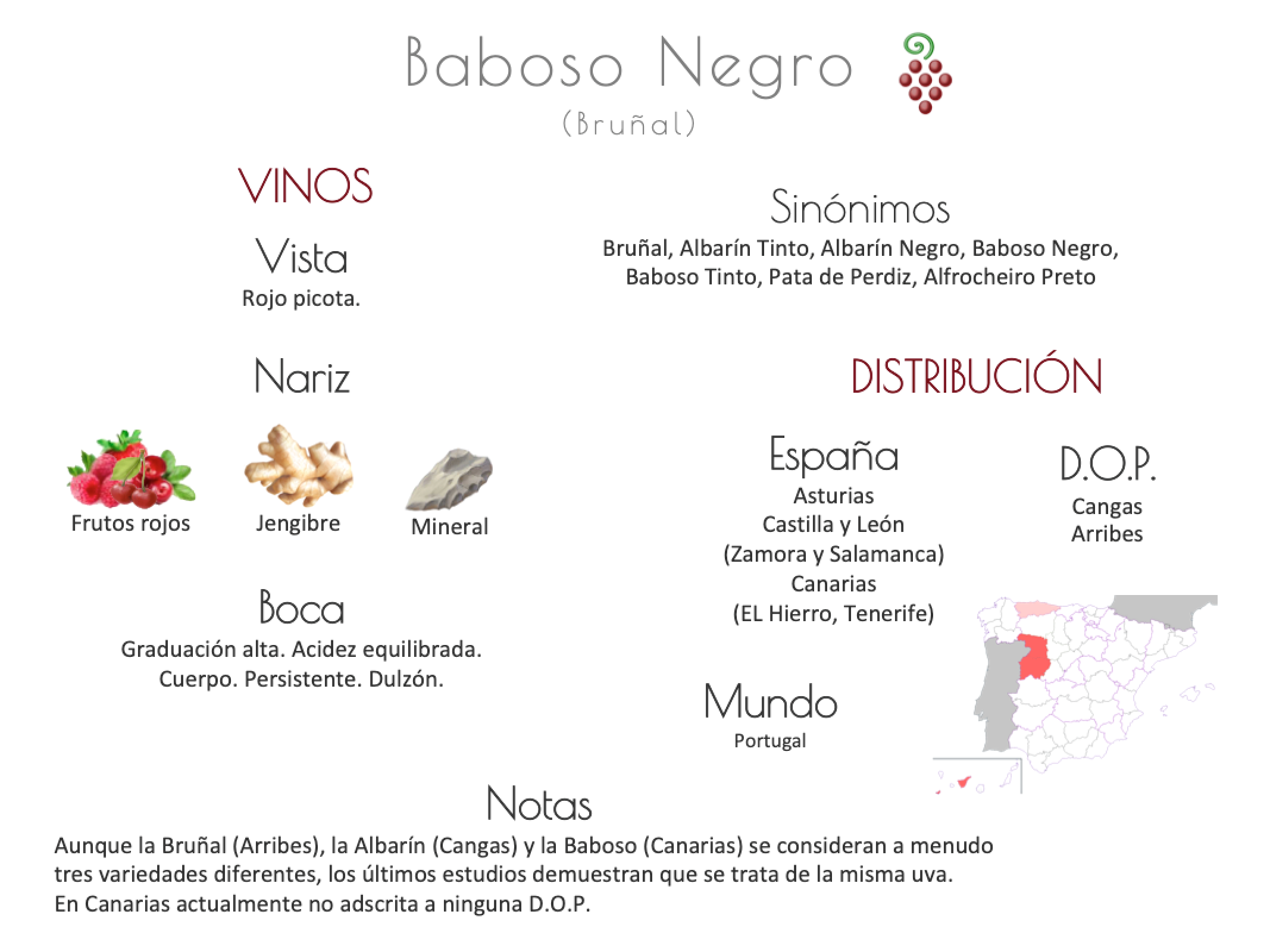 Sinónimo de Airén