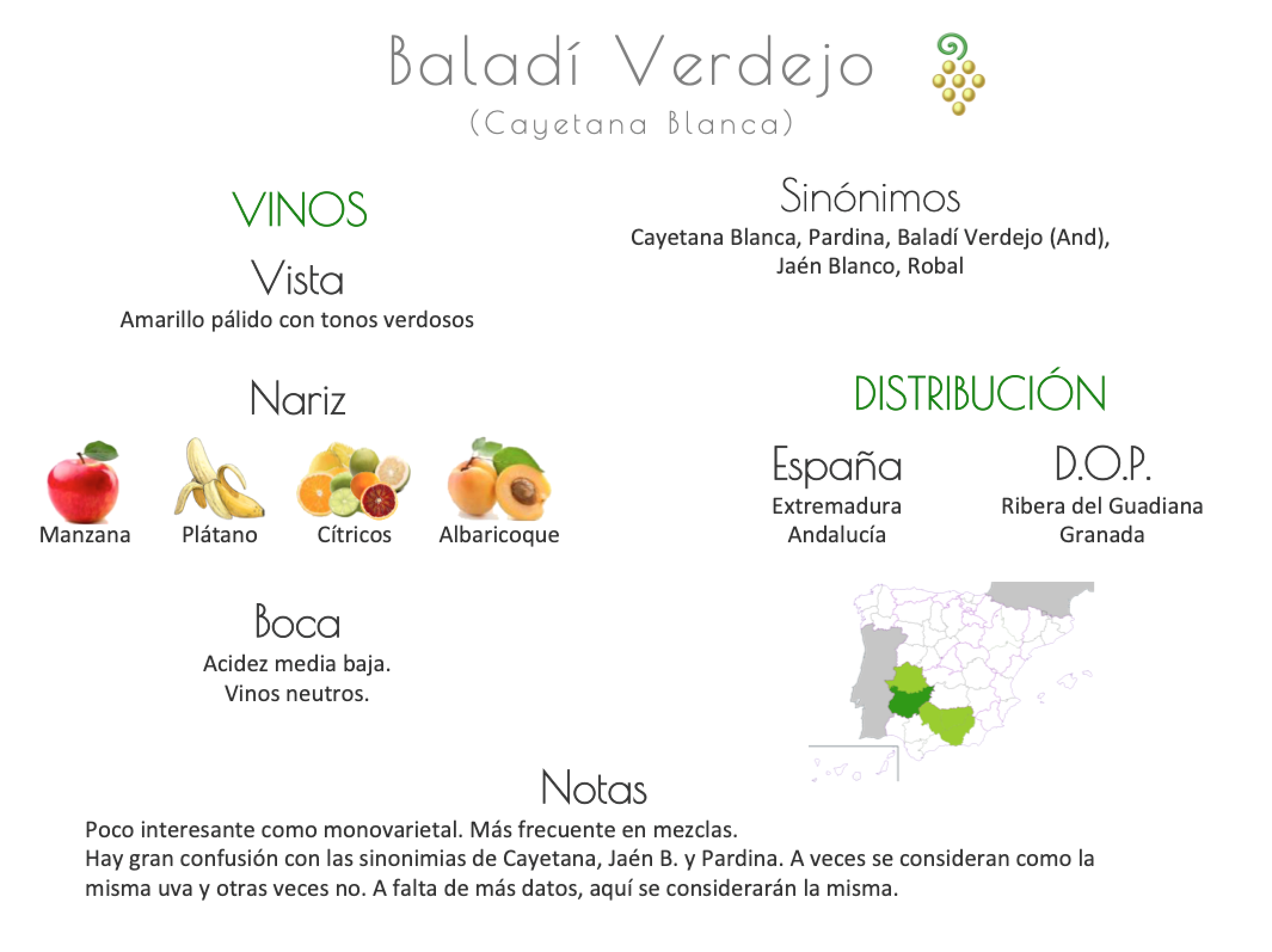 Sinónimo de Airén