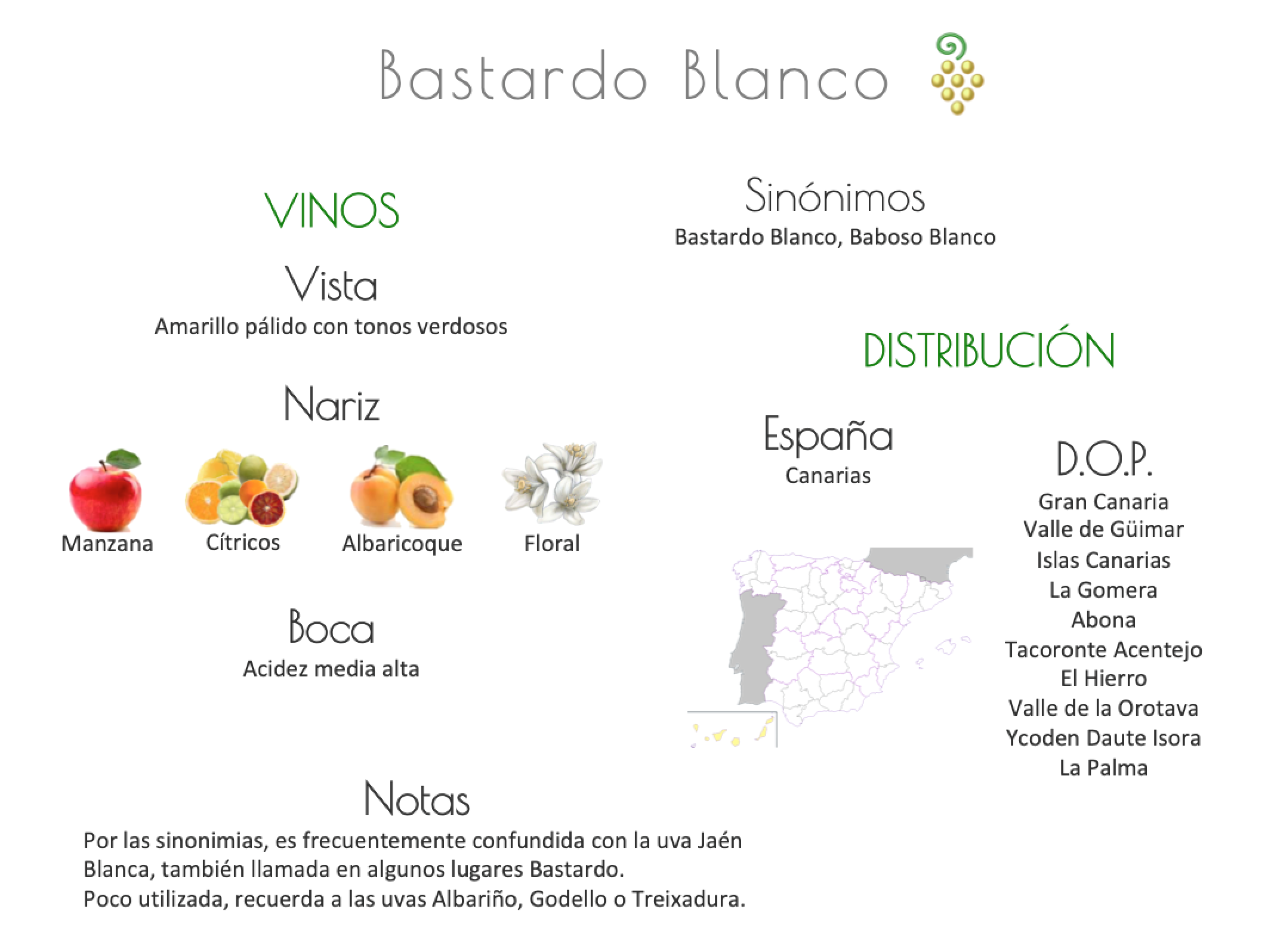 Sinónimo de Airén