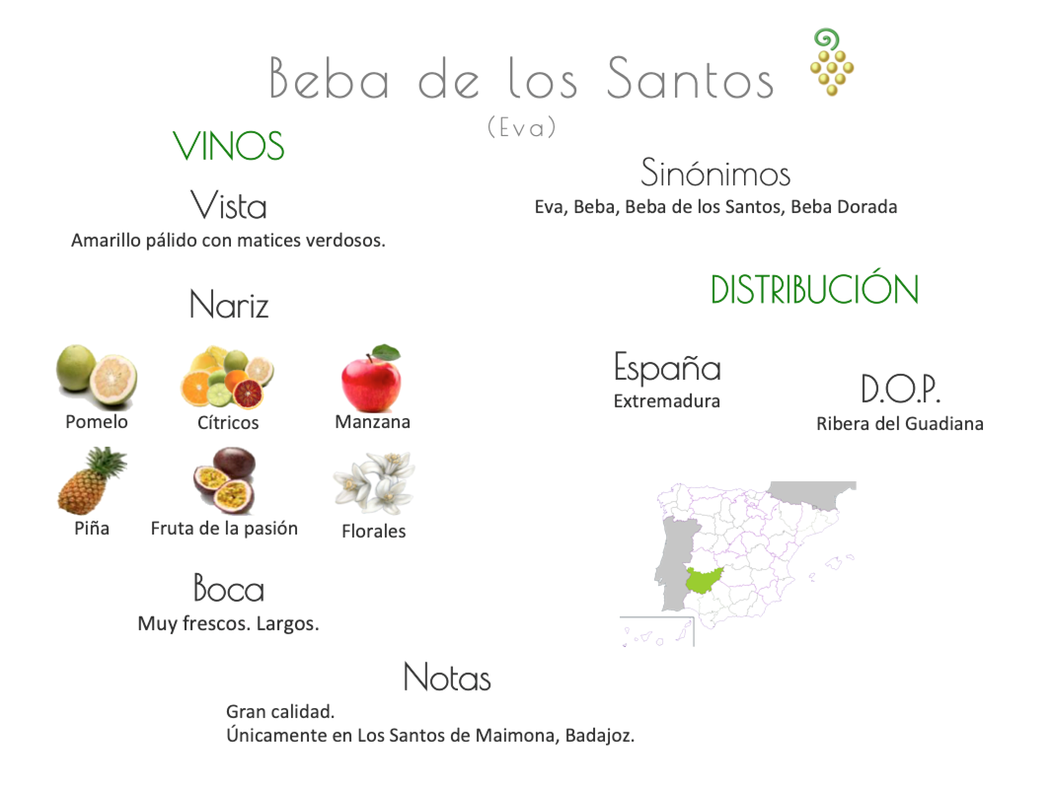 Sinónimo de Airén