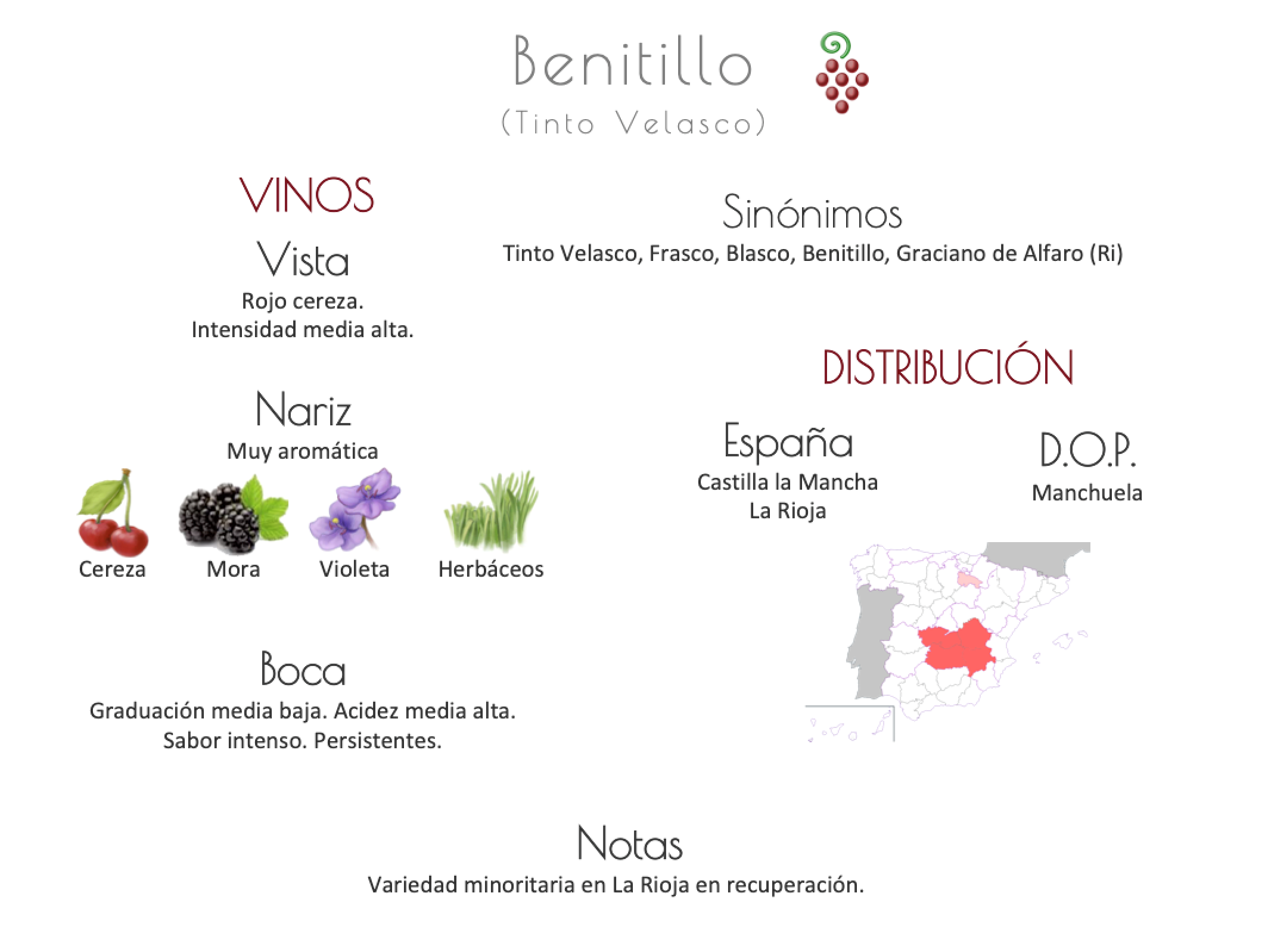 Sinónimo de Airén