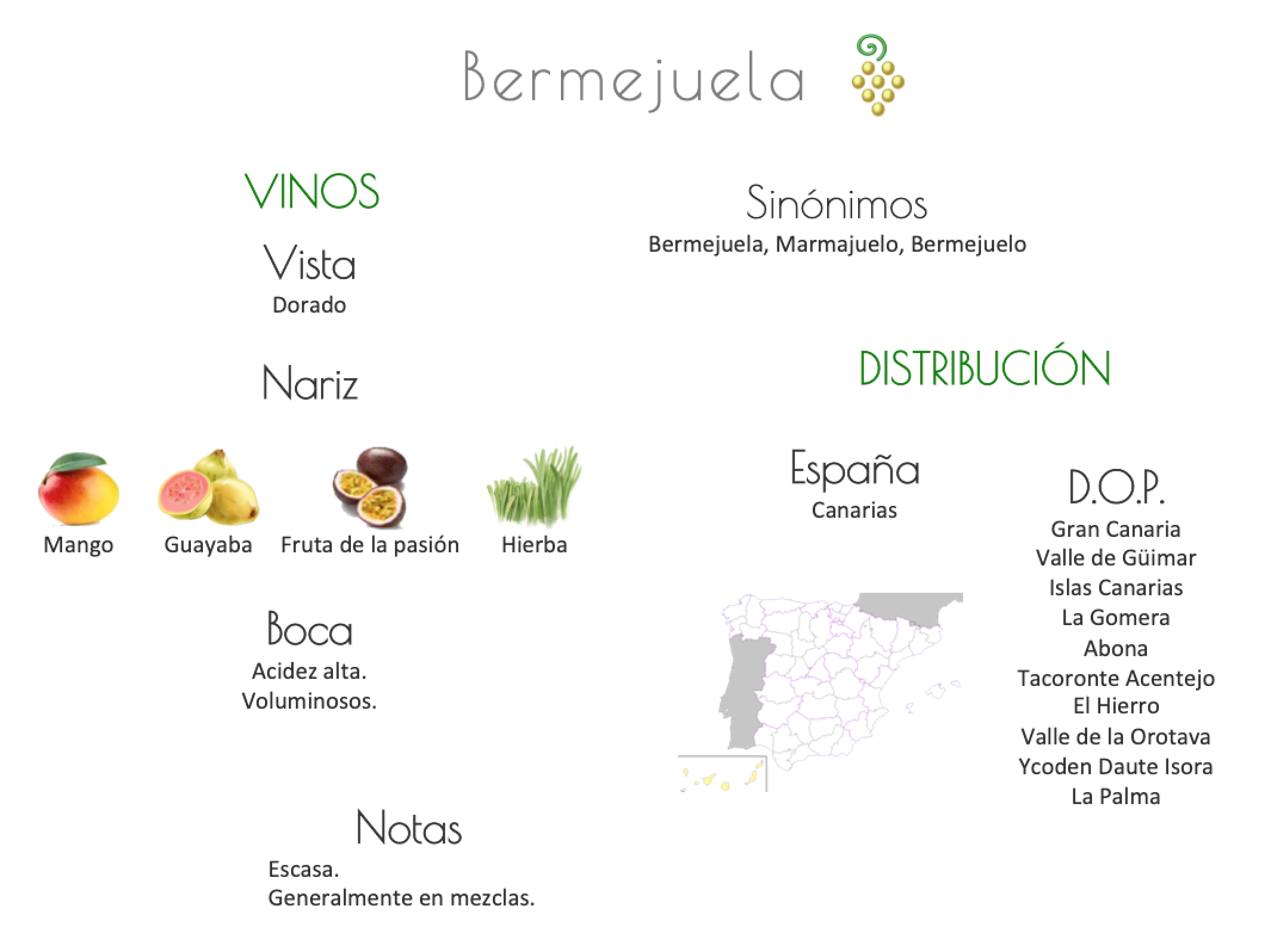 Sinónimo de Airén