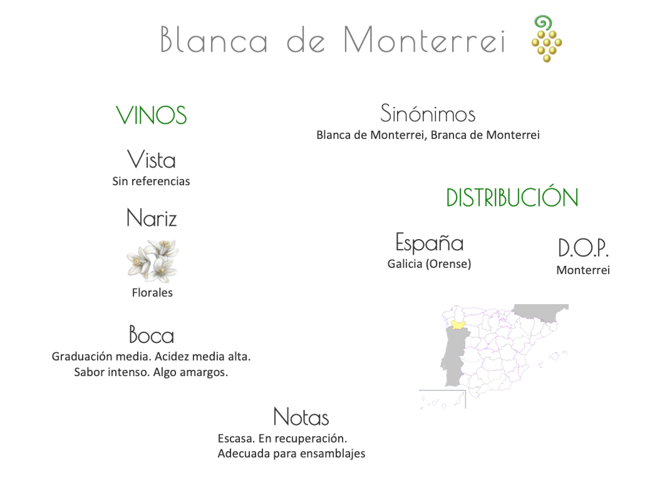 Sinónimo de Airén