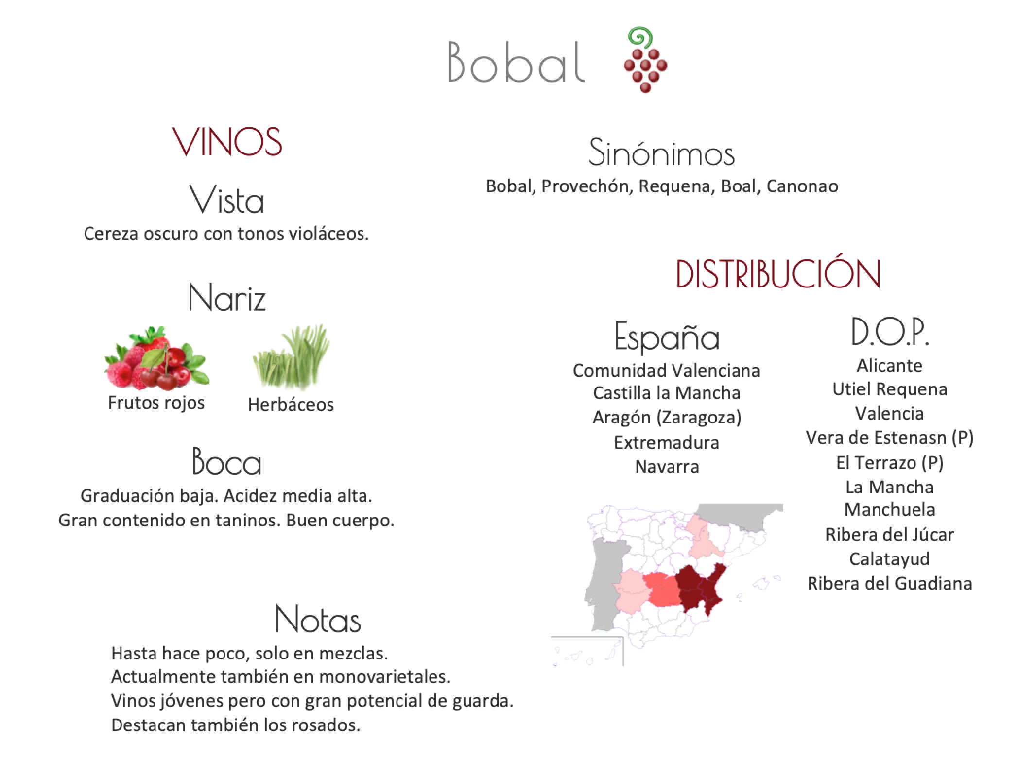 Sinónimo de Airén