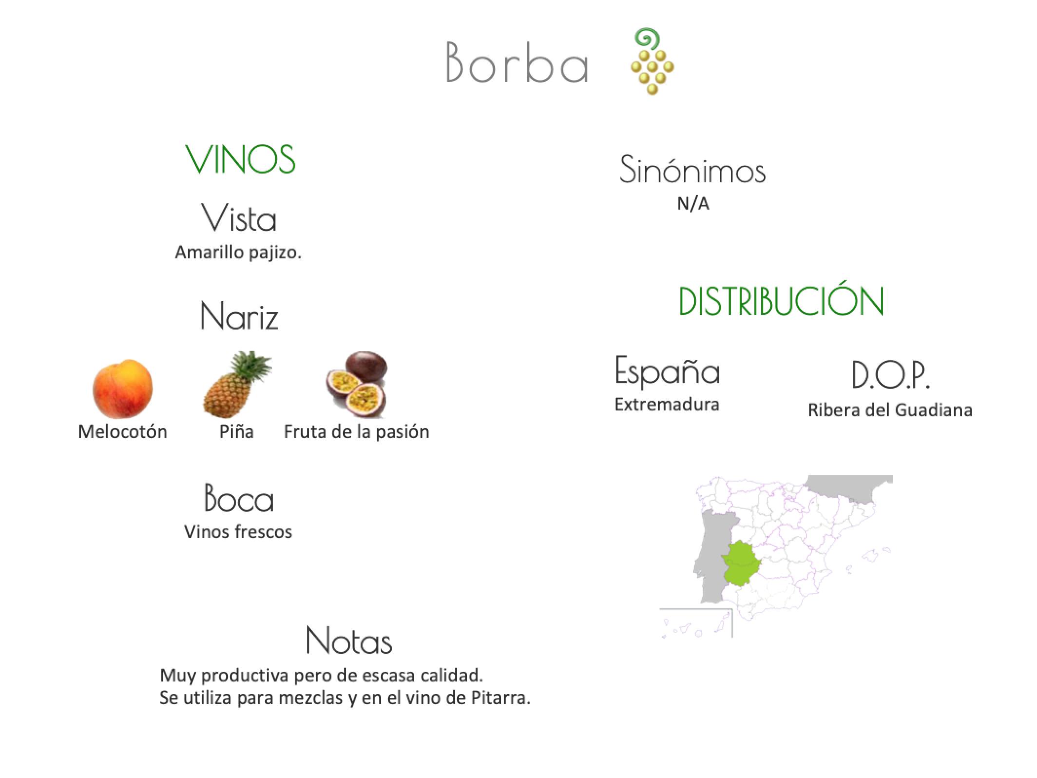 Sinónimo de Airén
