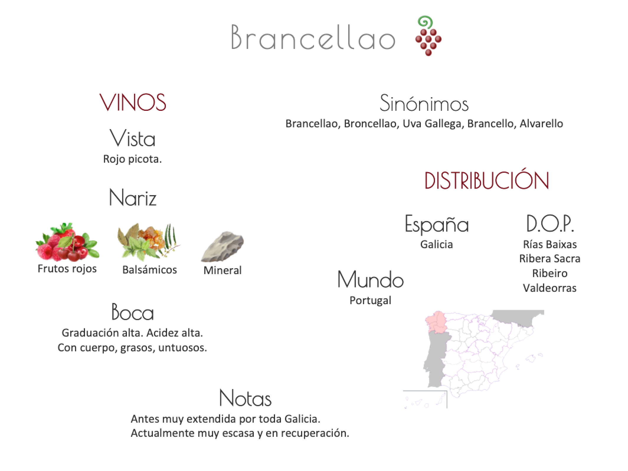Sinónimo de Airén