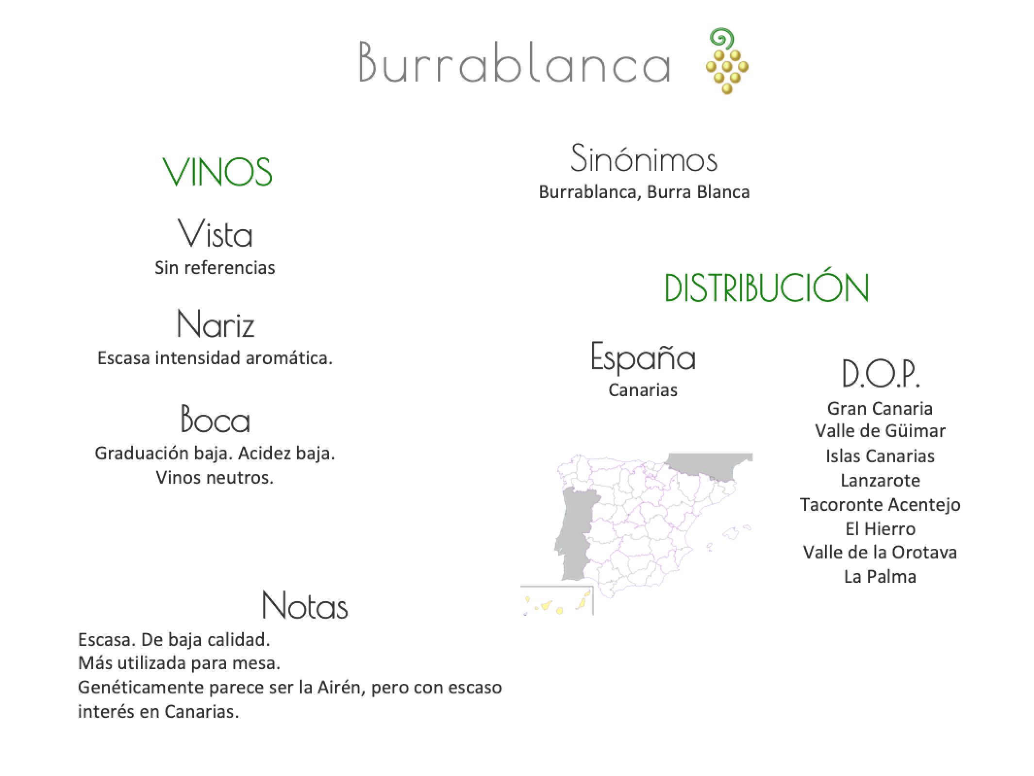 Sinónimo de Airén