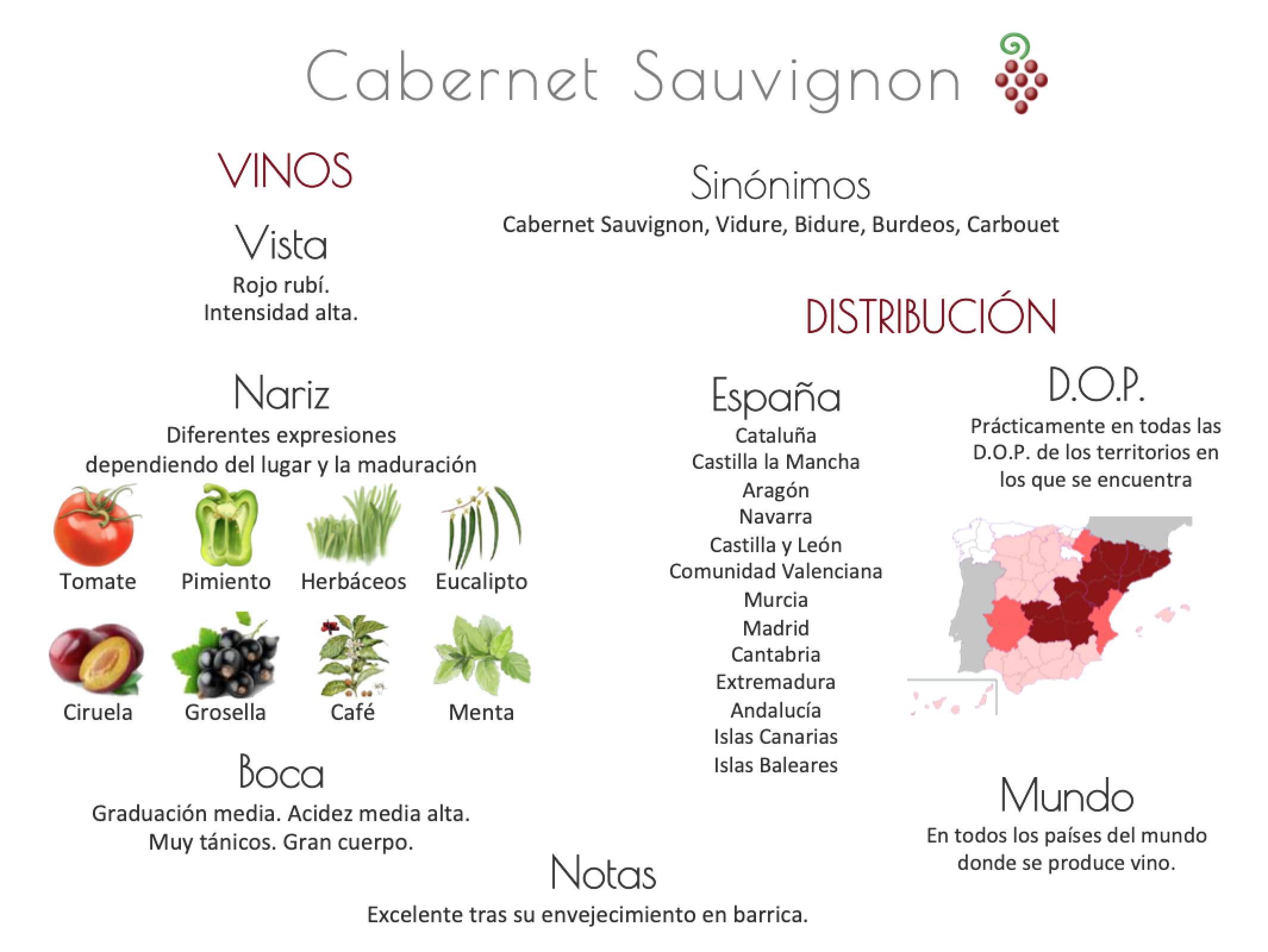 Sinónimo de Airén