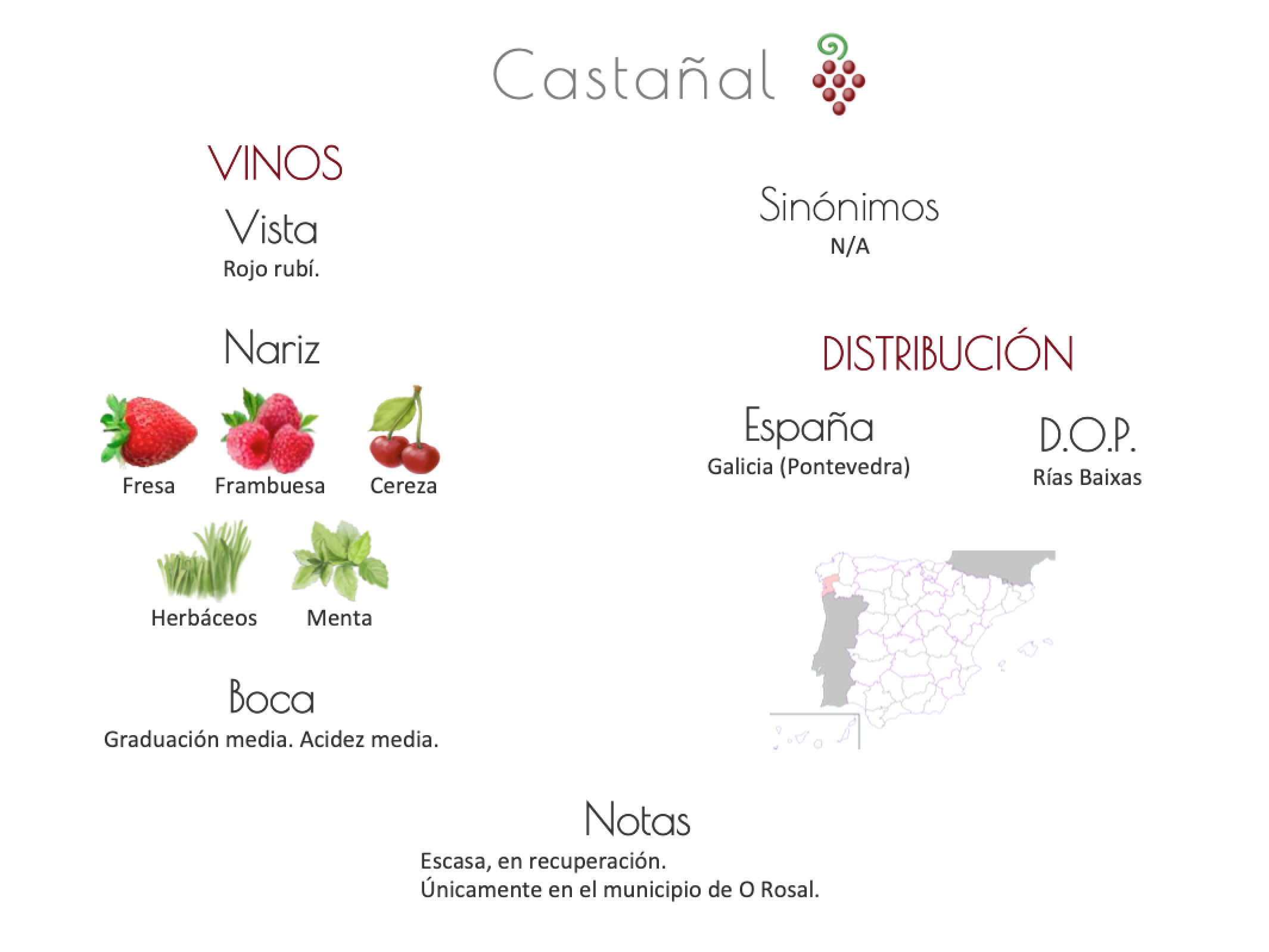 Sinónimo de Airén