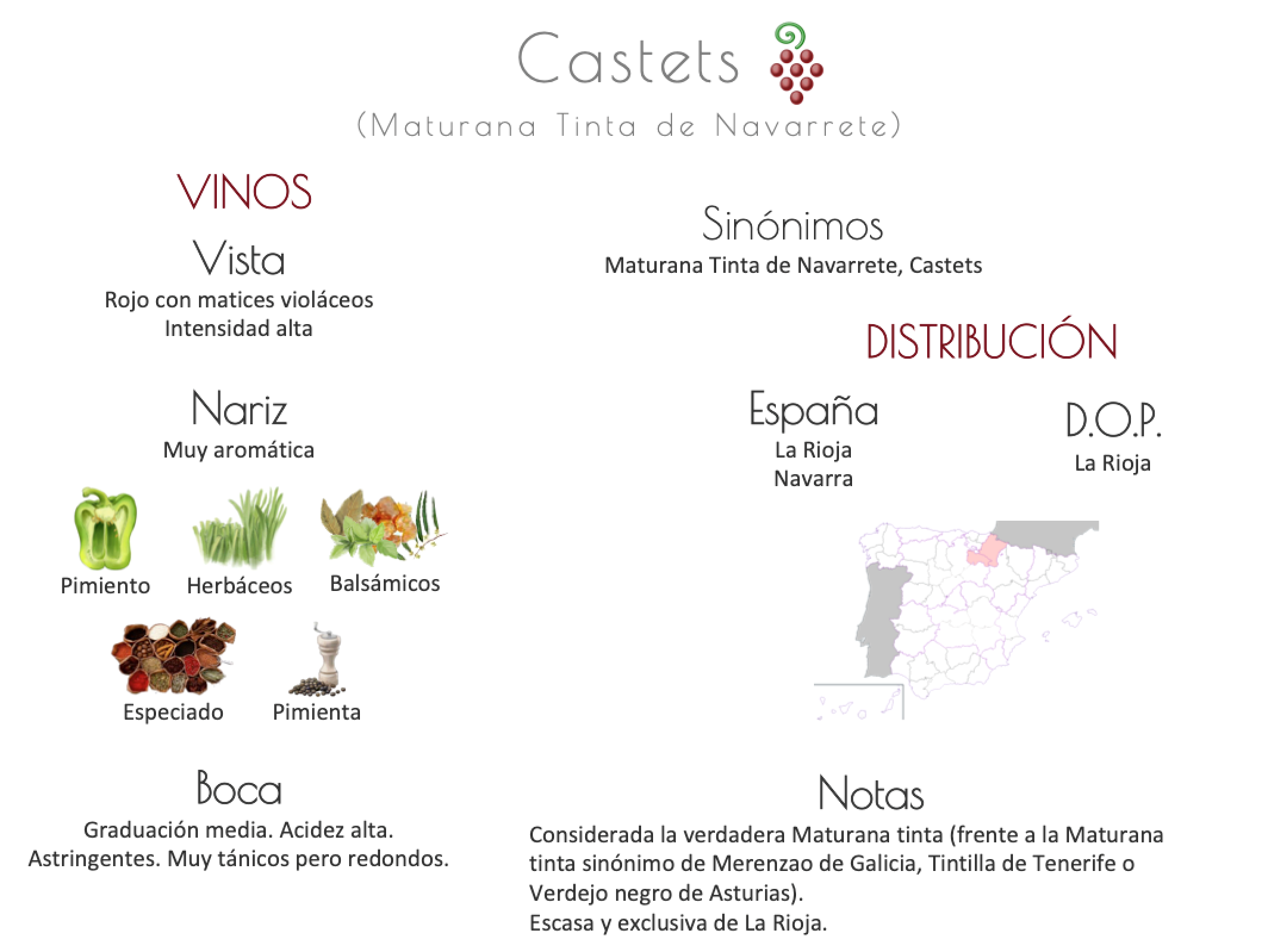 Sinónimo de Airén