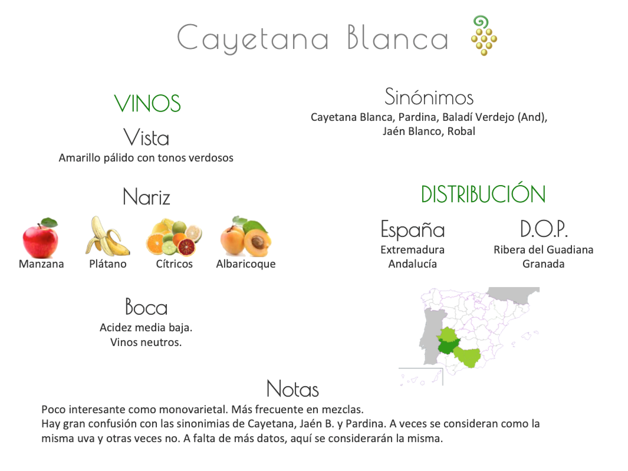 Sinónimo de Airén