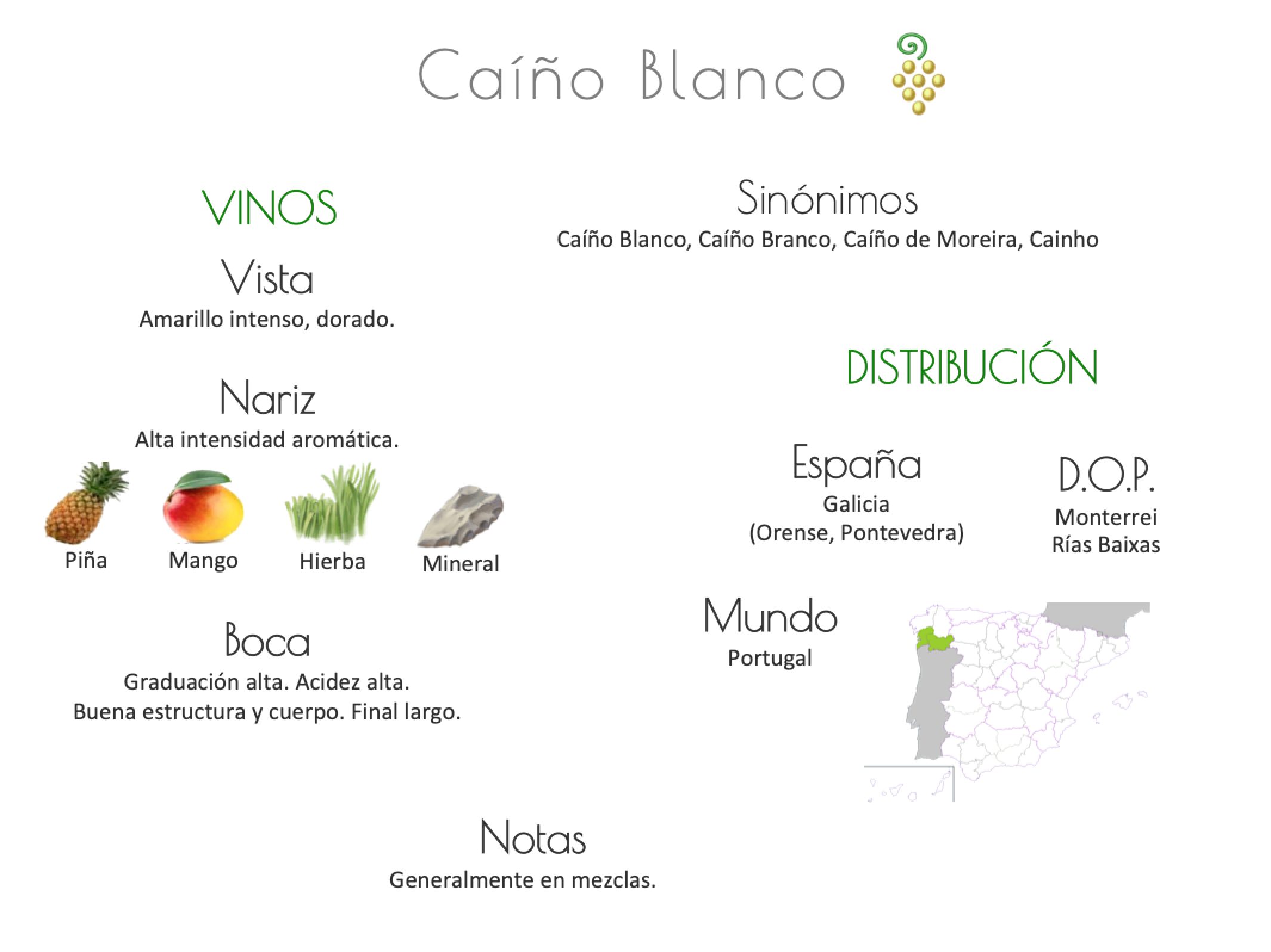 Sinónimo de Airén