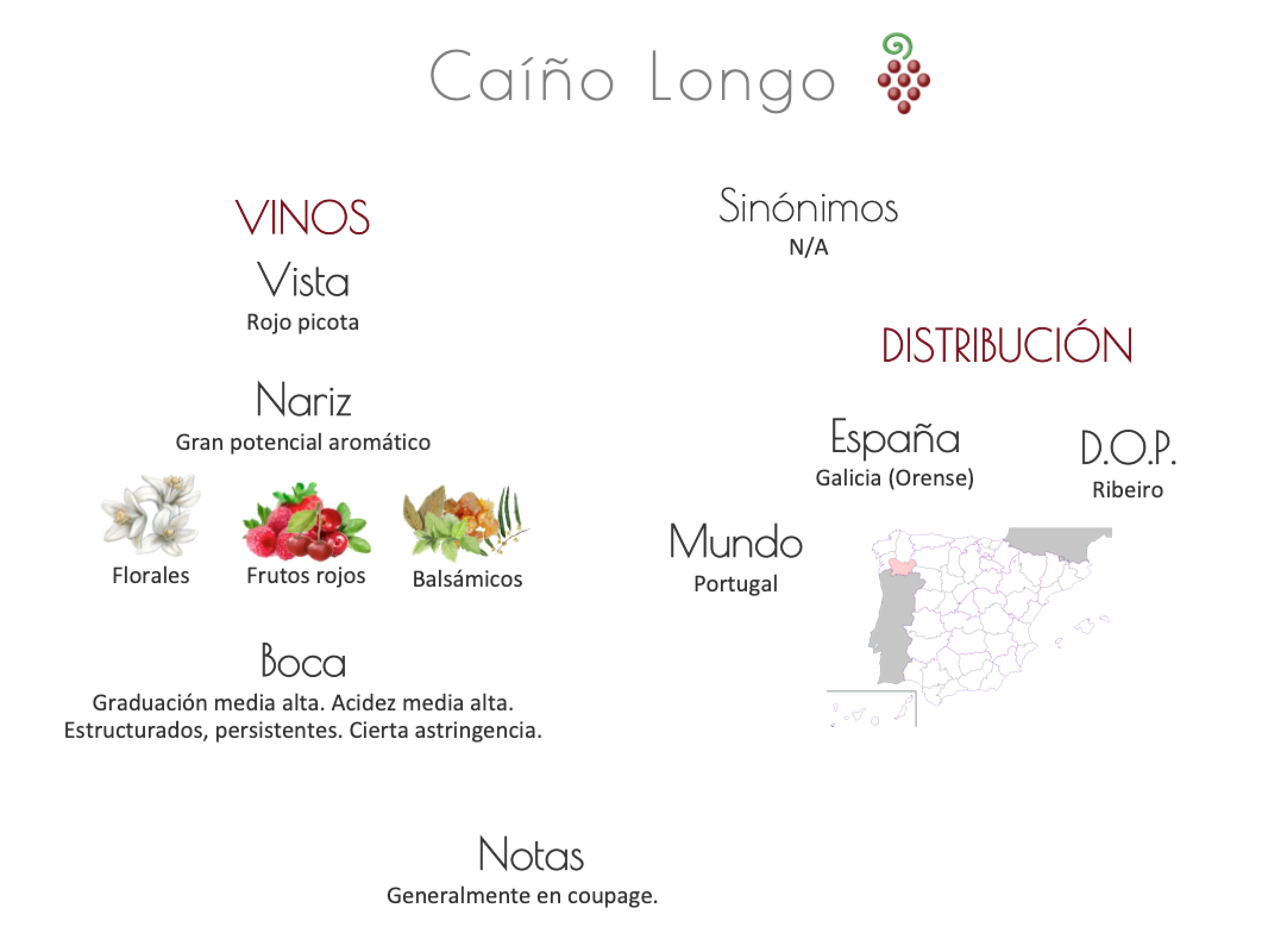 Sinónimo de Airén