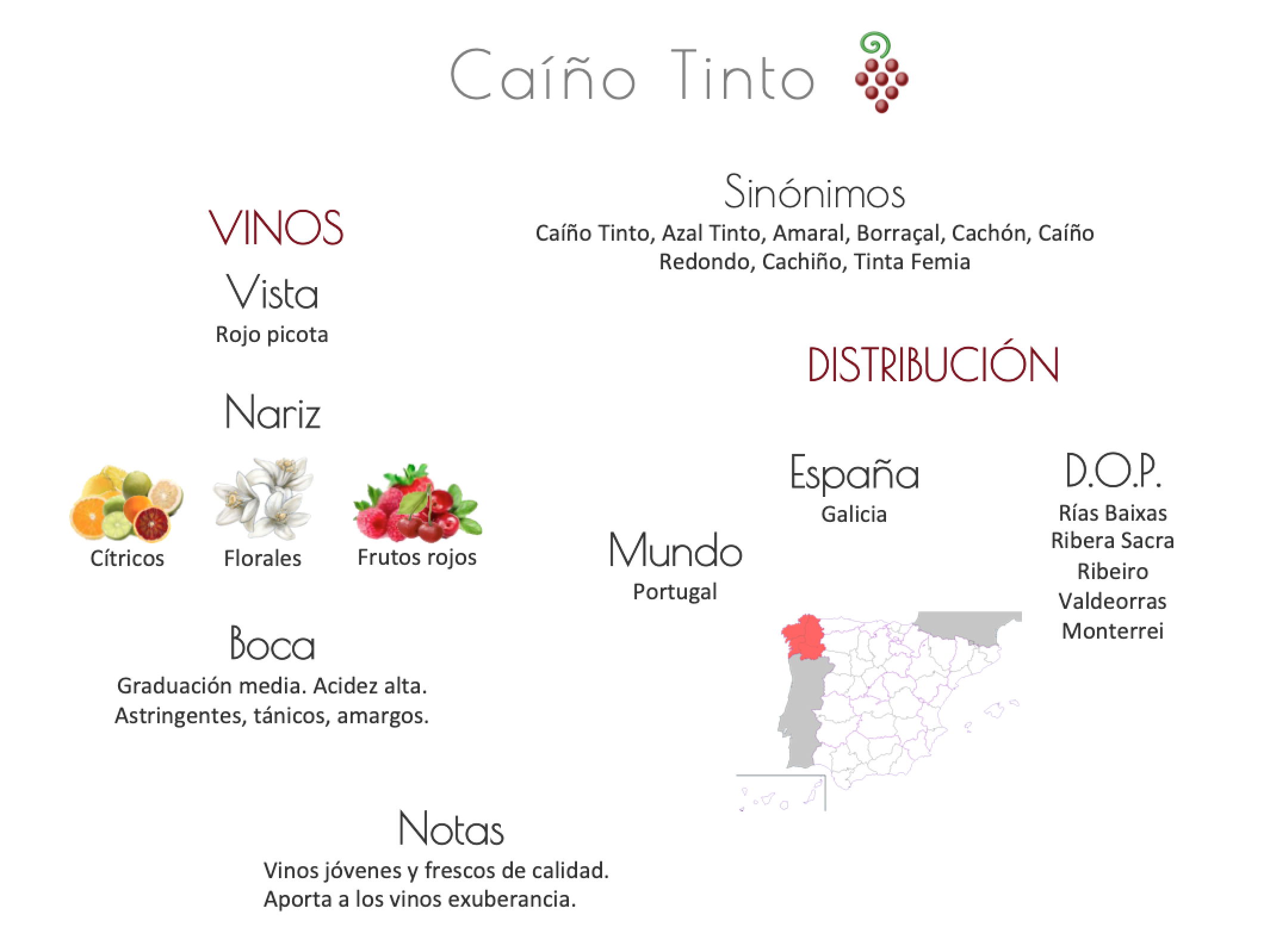 Sinónimo de Airén