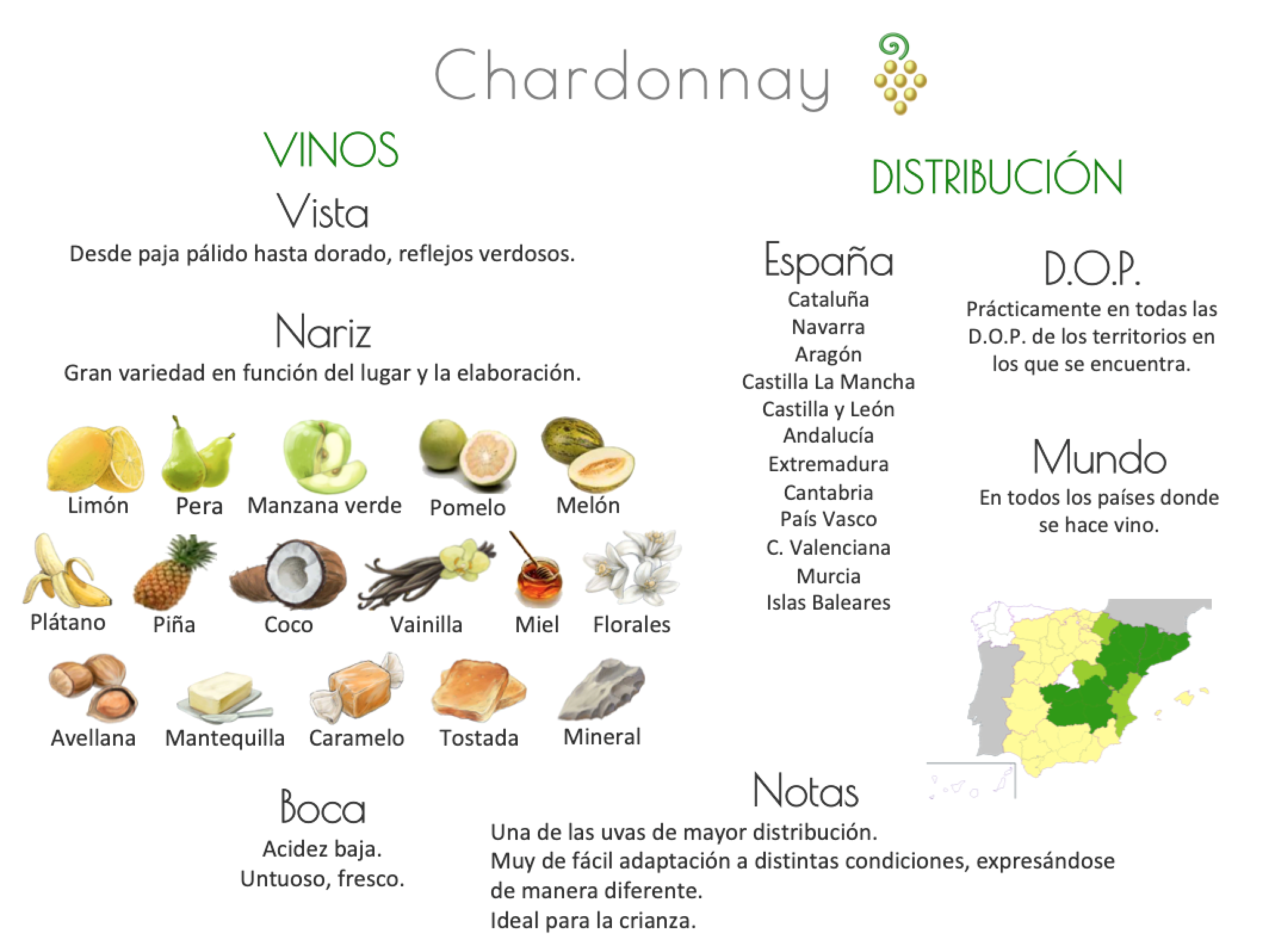 Sinónimo de Airén