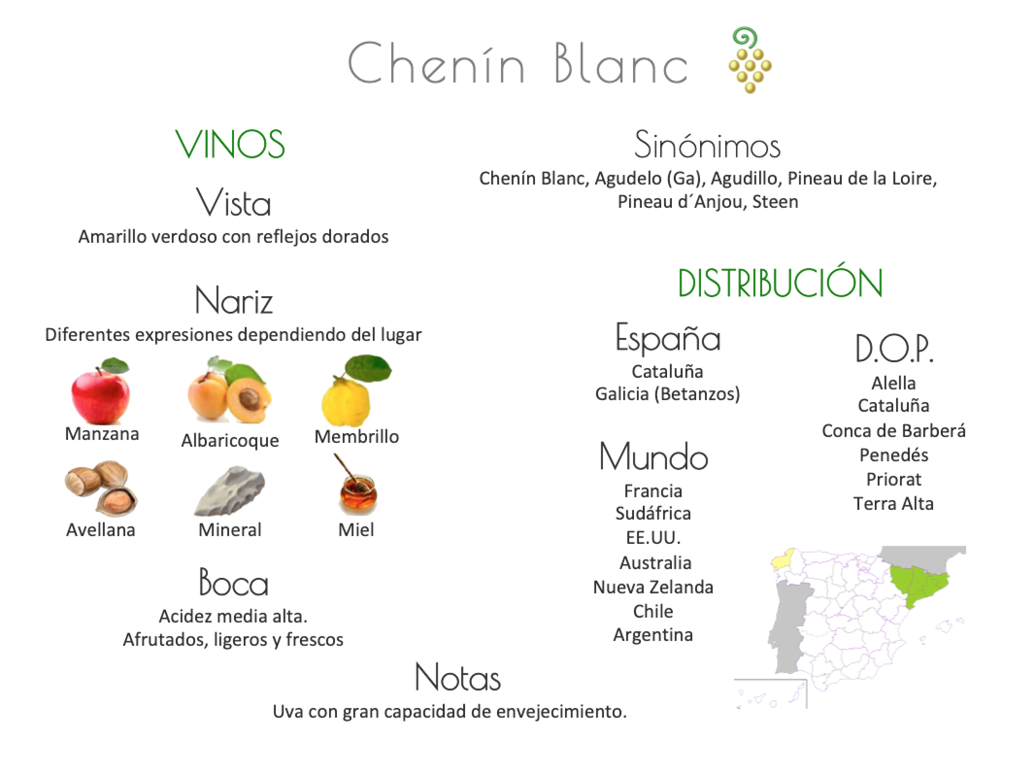 Sinónimo de Airén