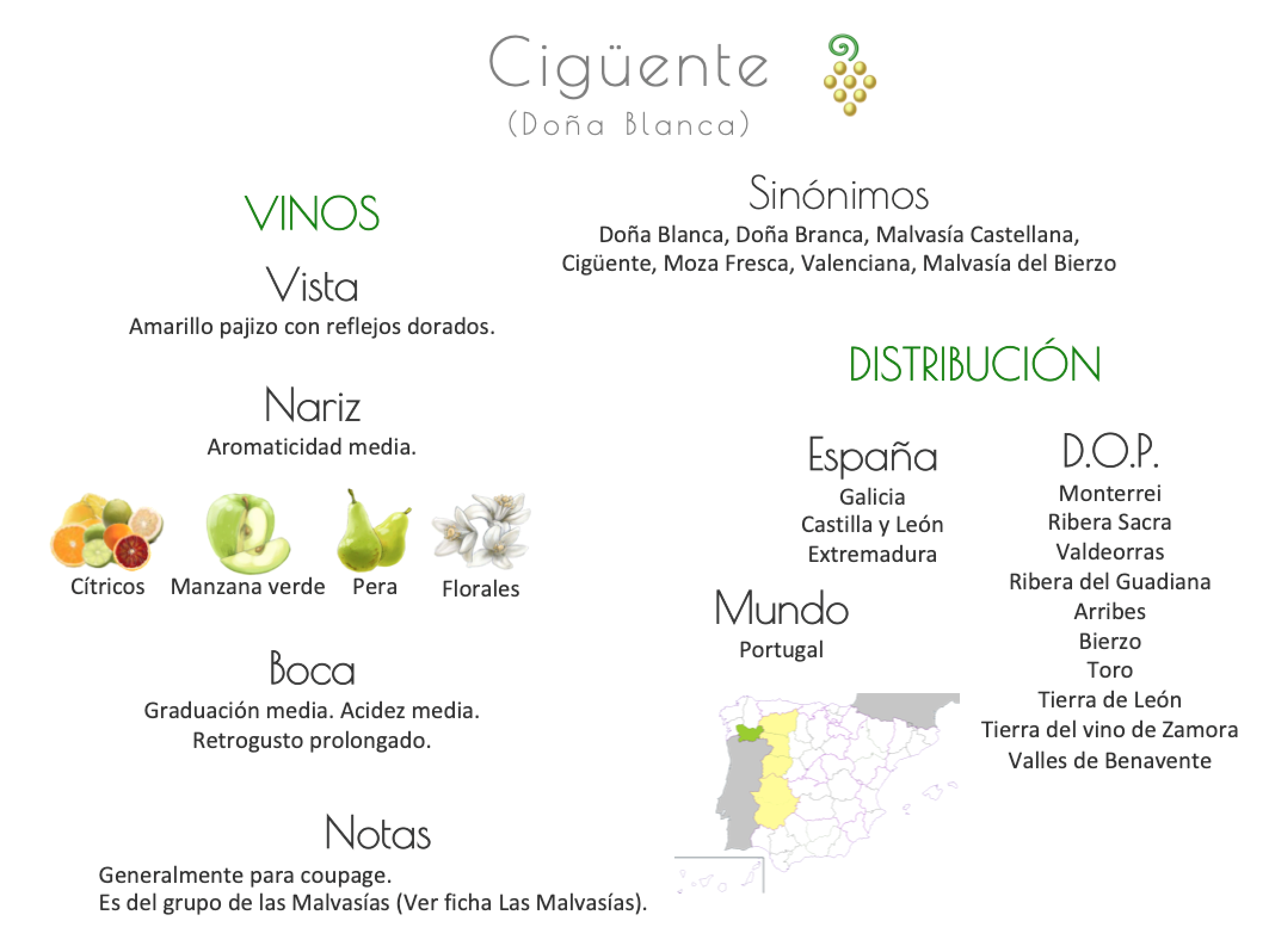 Sinónimo de Airén