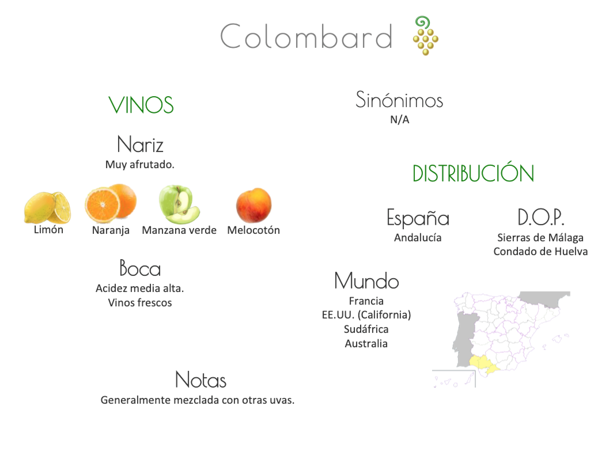 Sinónimo de Airén