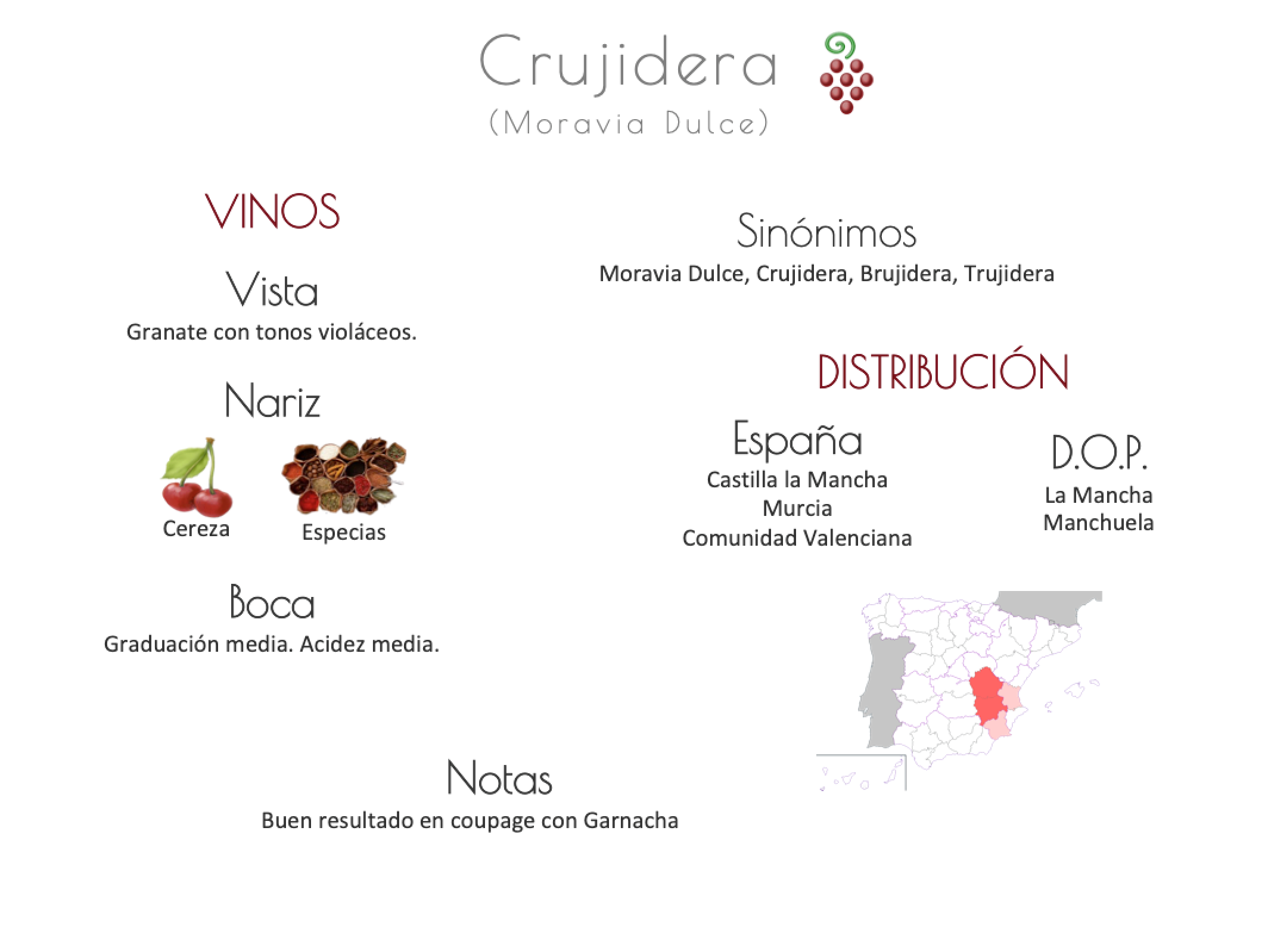 Sinónimo de Airén