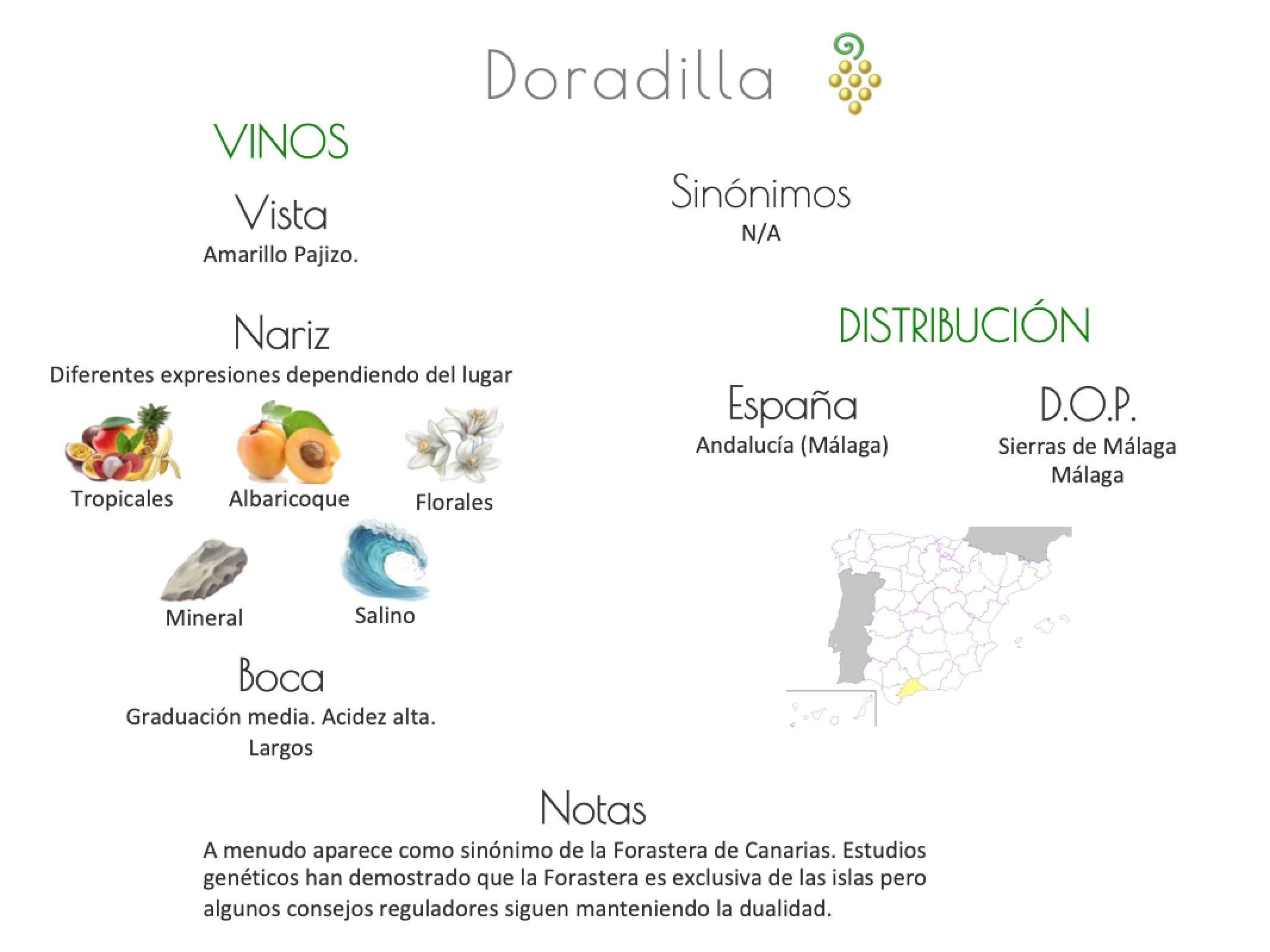 Sinónimo de Airén