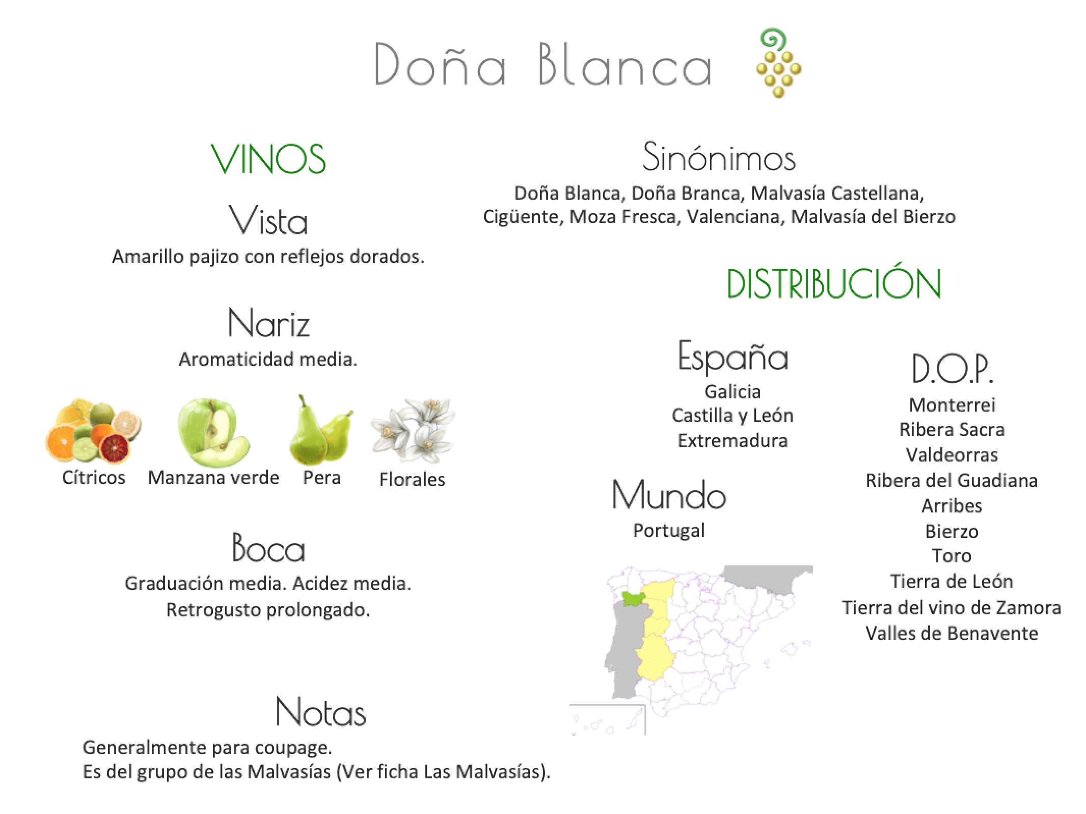 Sinónimo de Airén