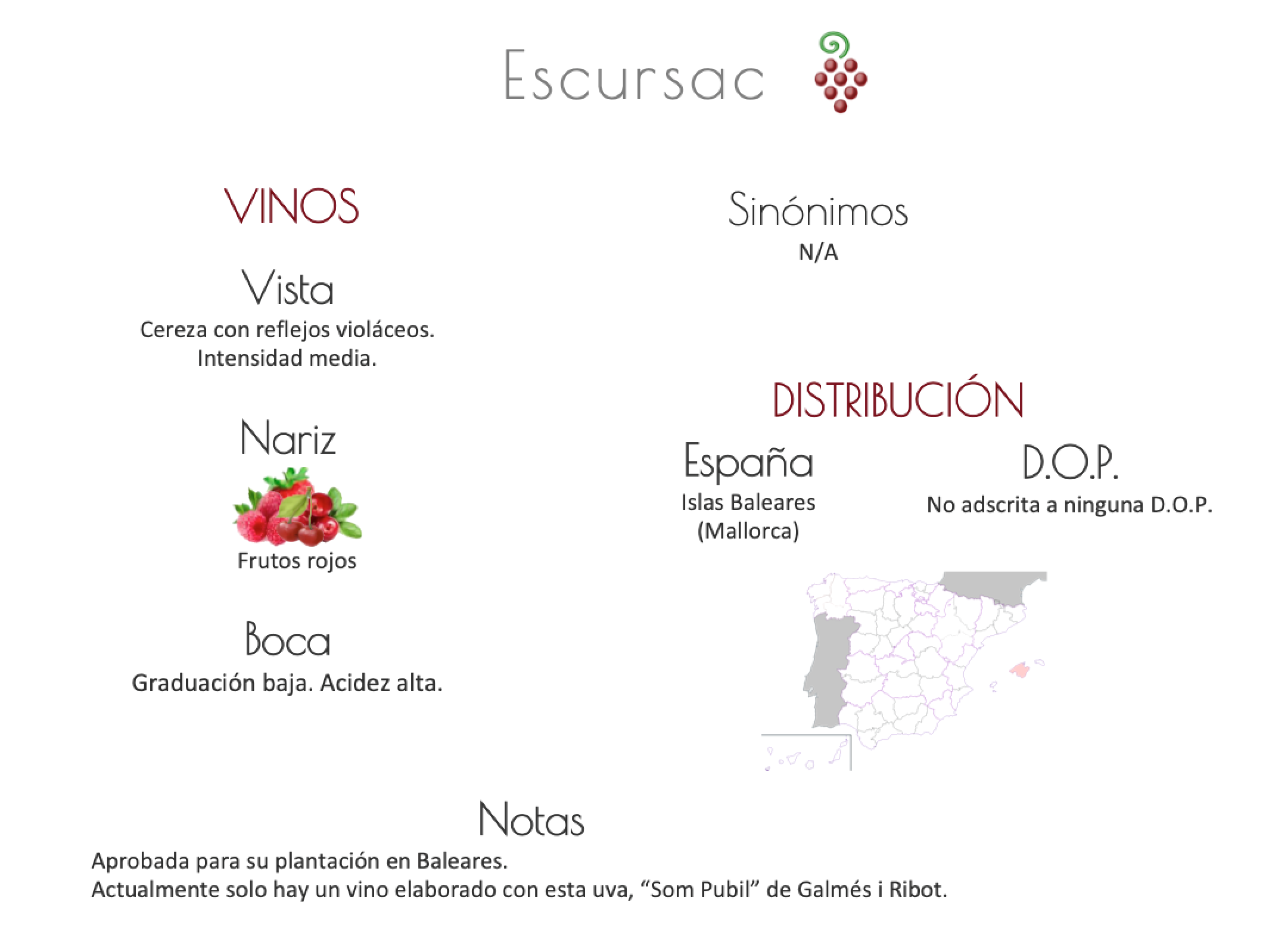 Sinónimo de Airén