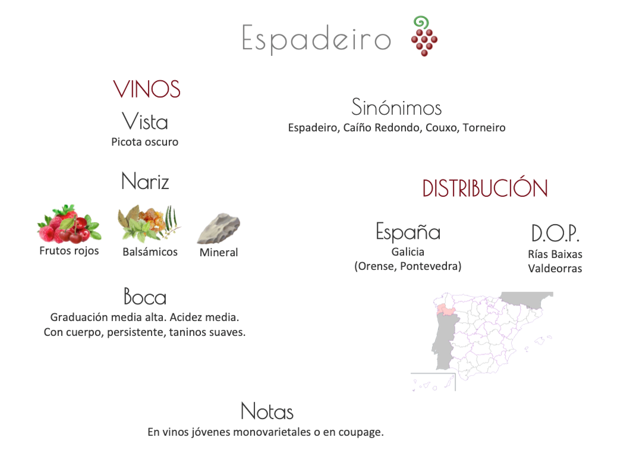 Sinónimo de Airén