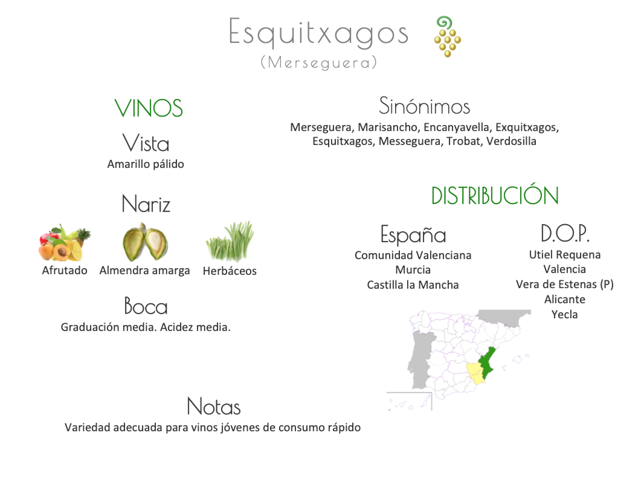 Sinónimo de Airén
