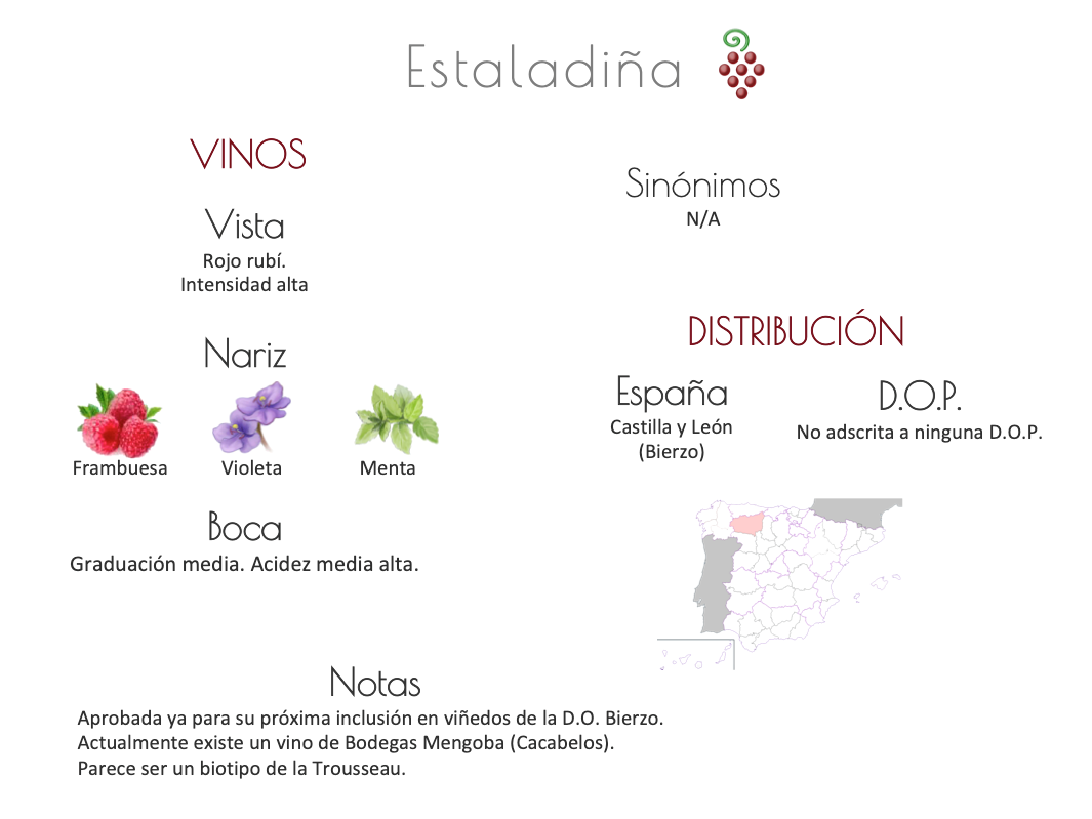 Sinónimo de Airén