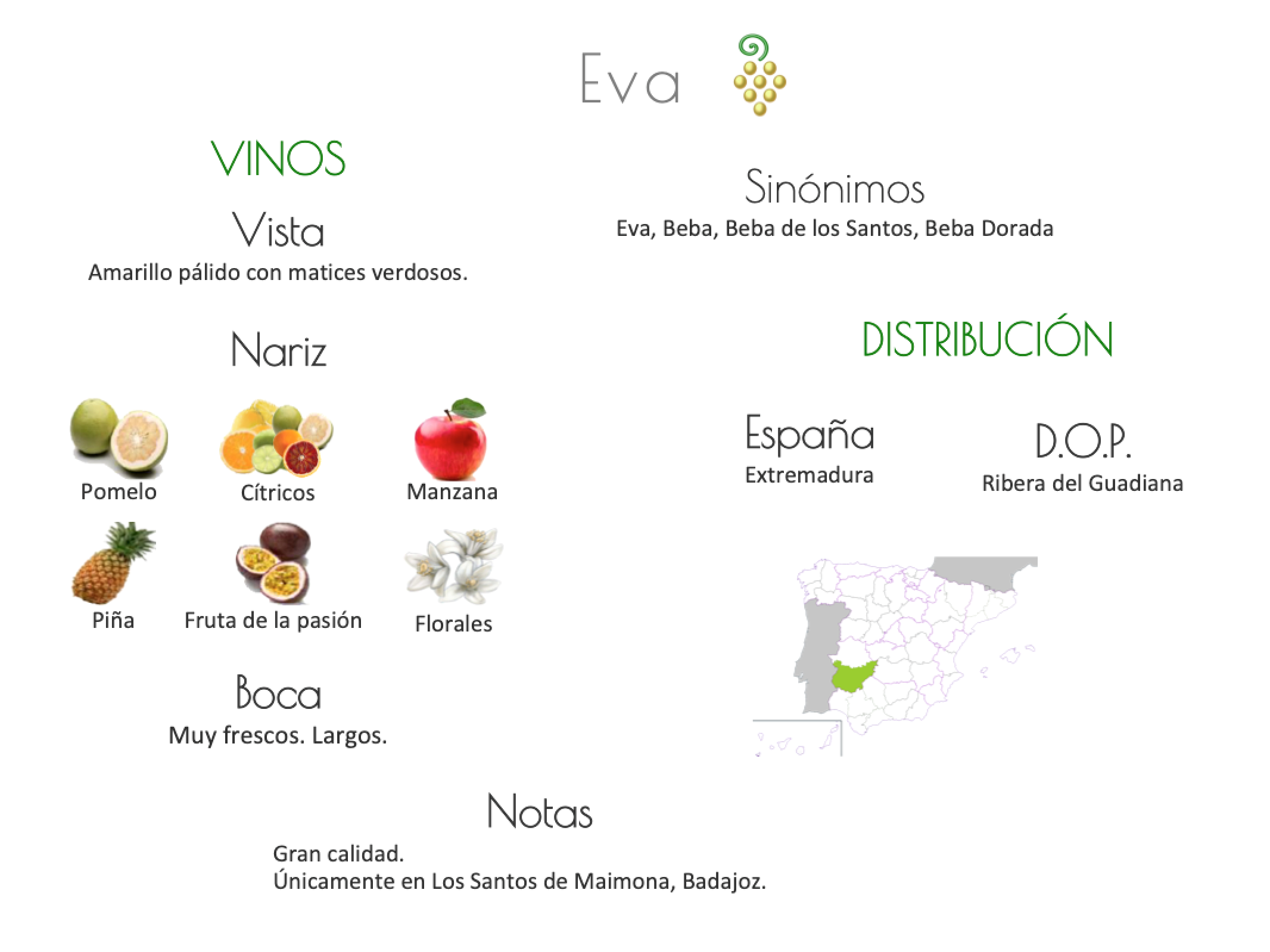 Sinónimo de Airén