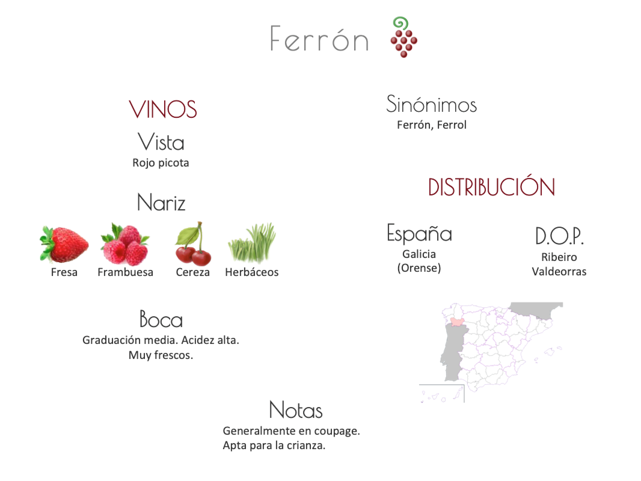 Sinónimo de Airén