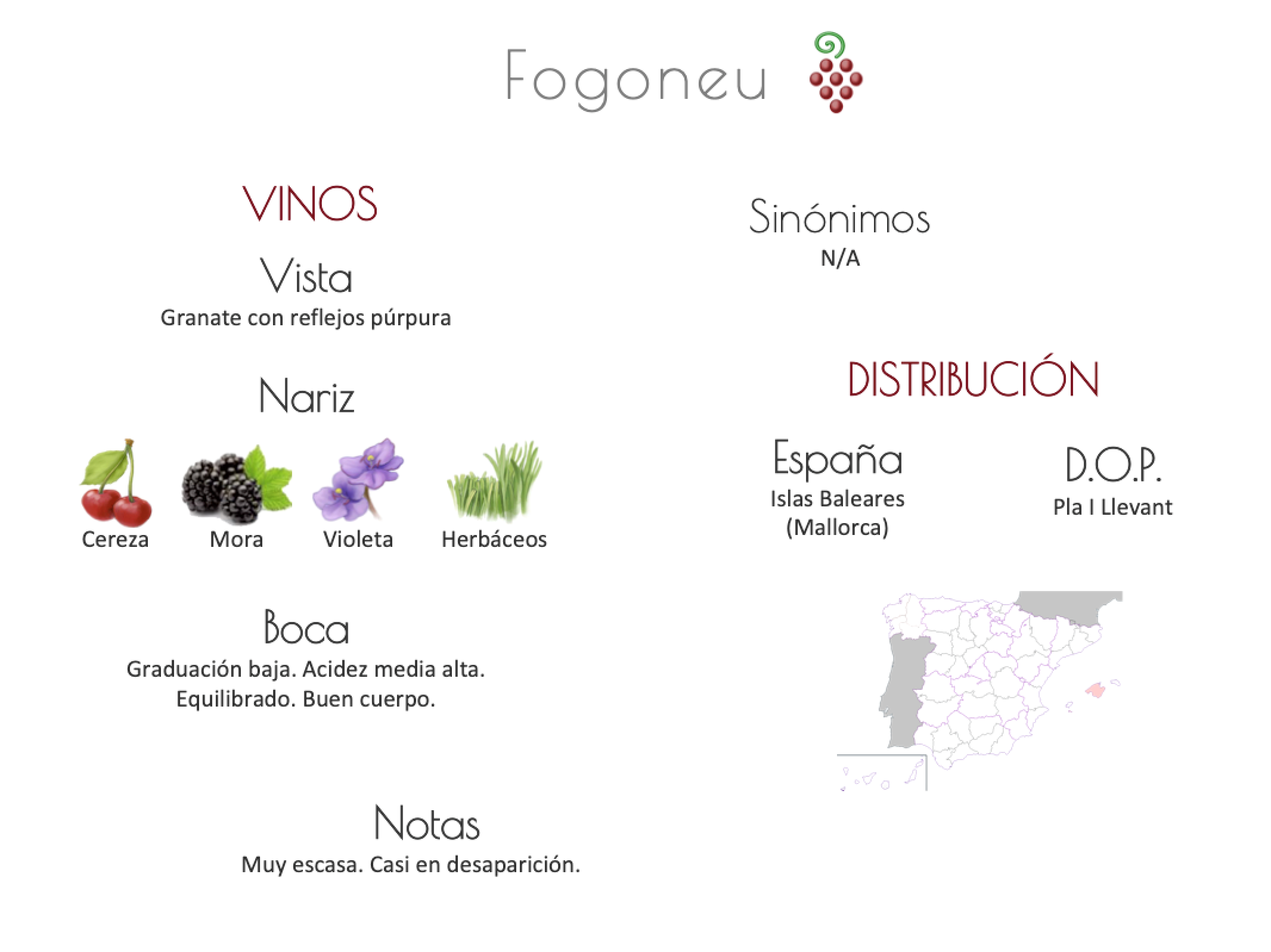 Sinónimo de Airén