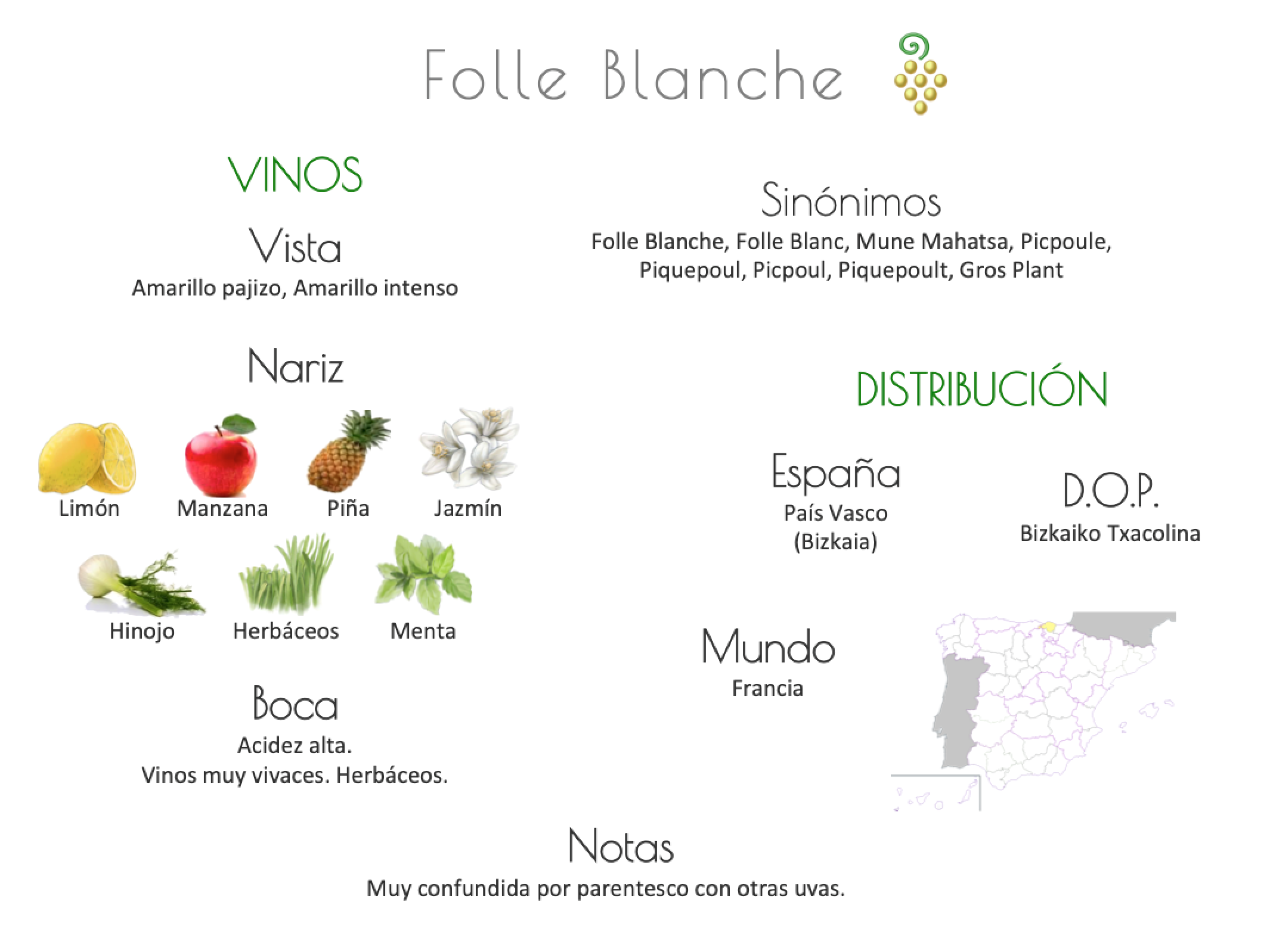 Sinónimo de Airén