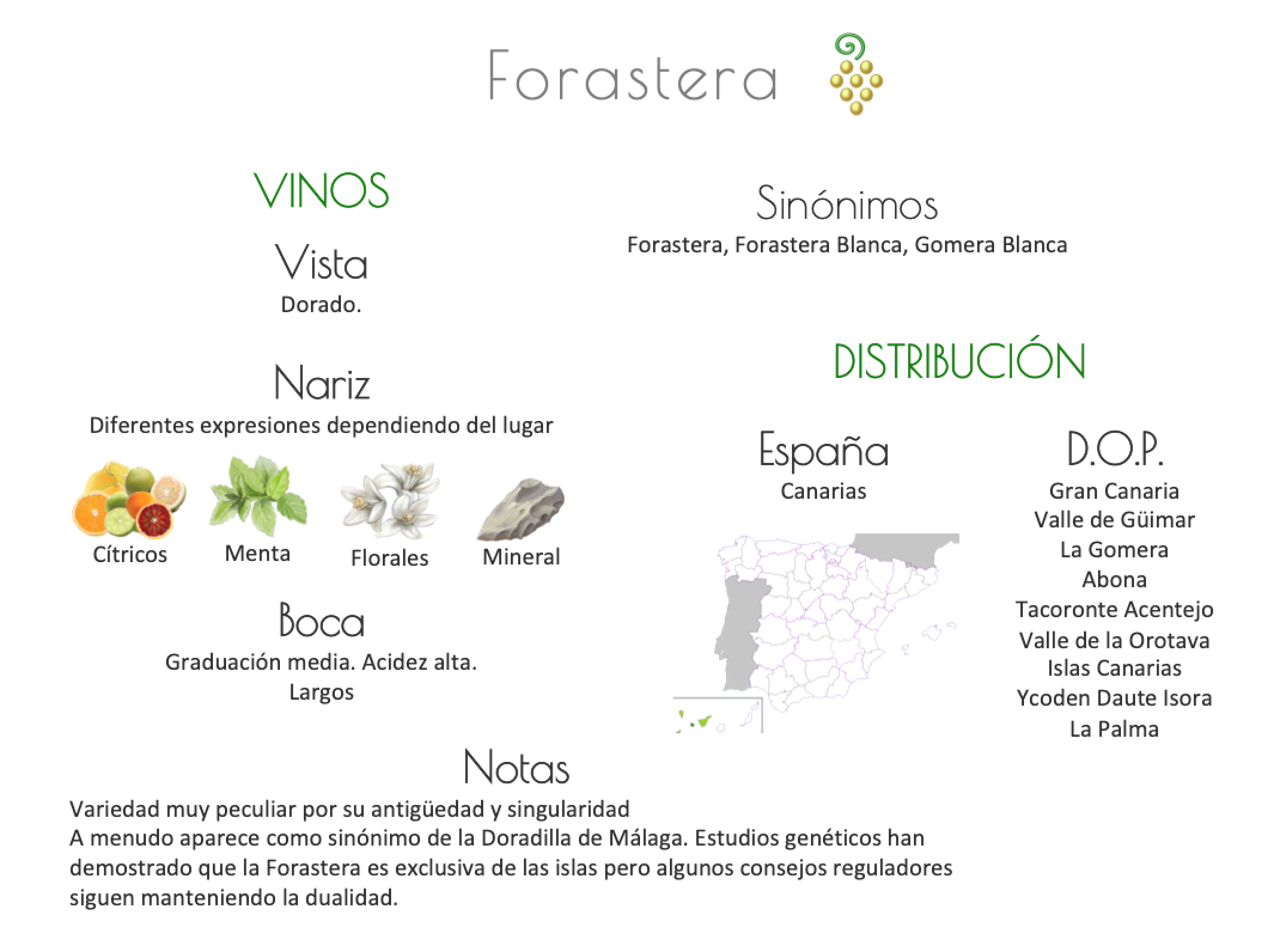 Sinónimo de Airén