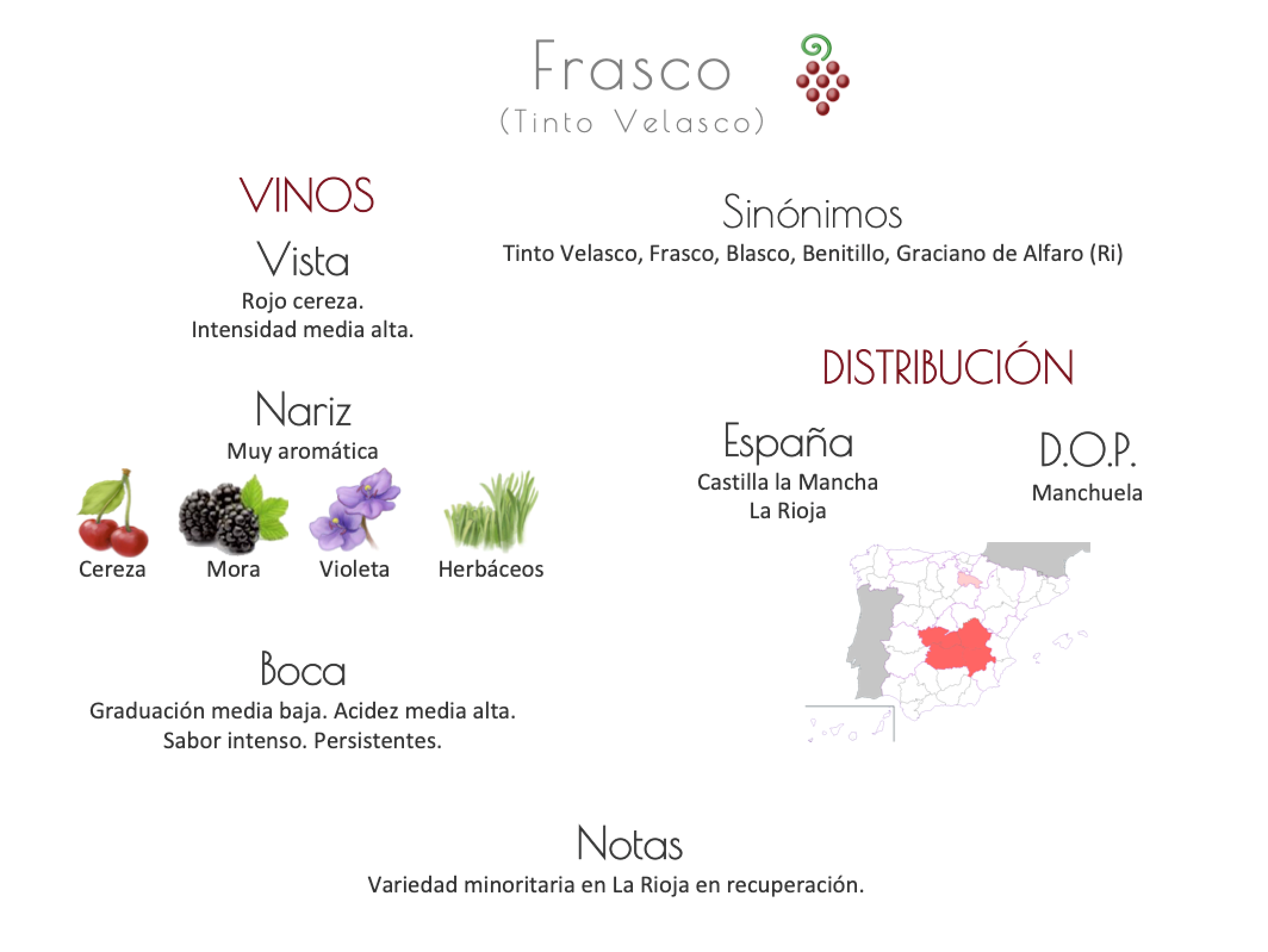 Sinónimo de Airén