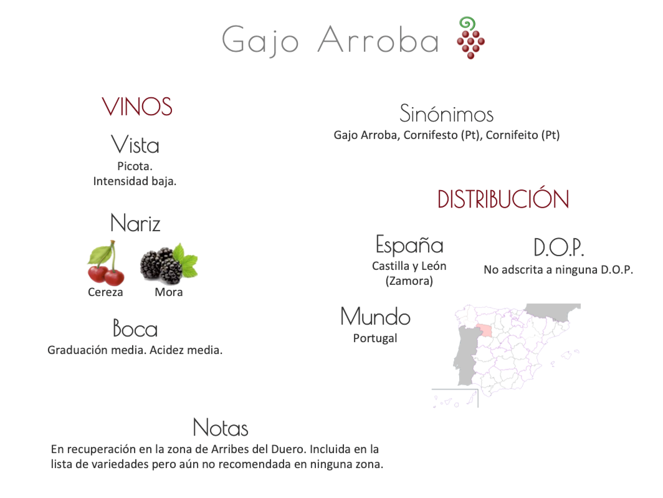 Sinónimo de Airén