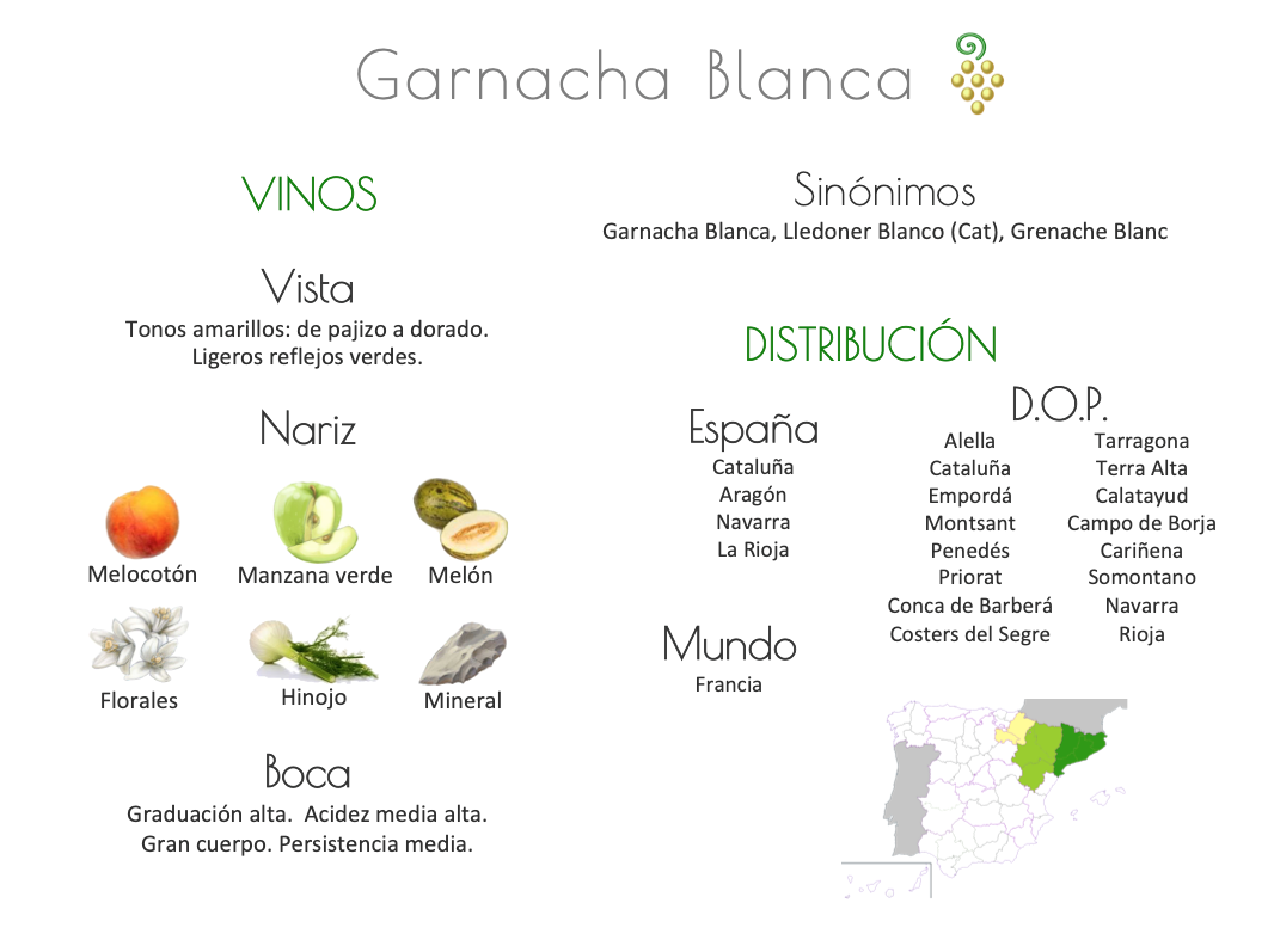 Sinónimo de Airén