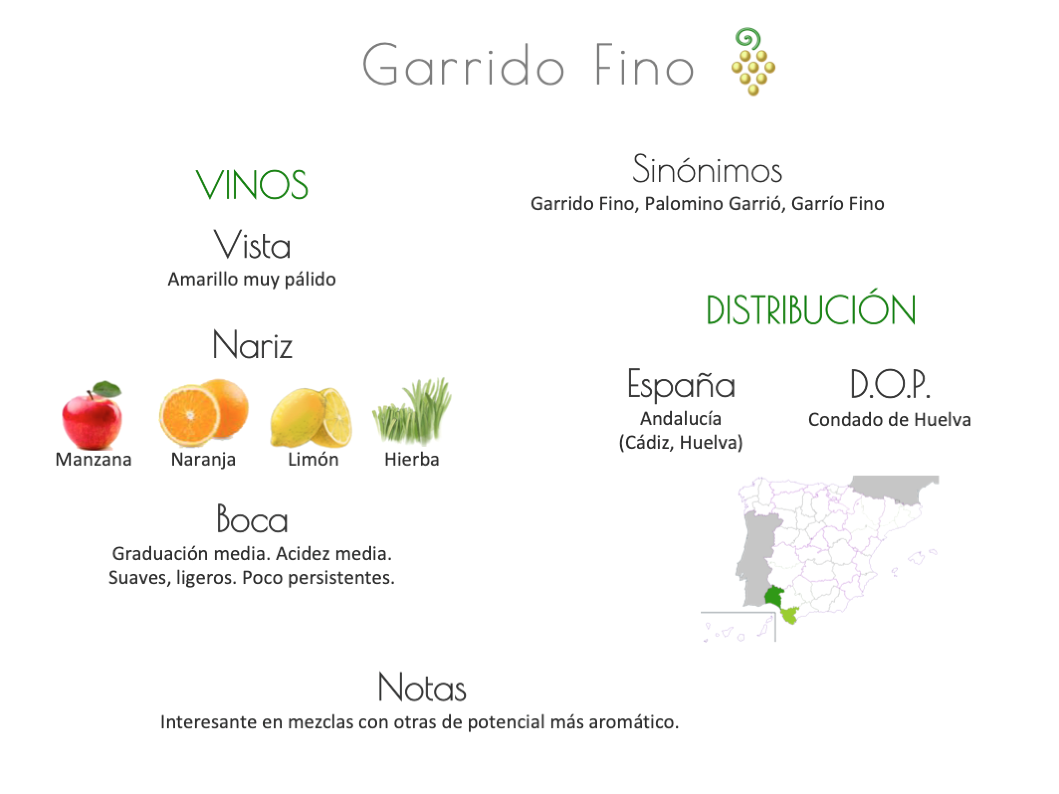 Sinónimo de Airén