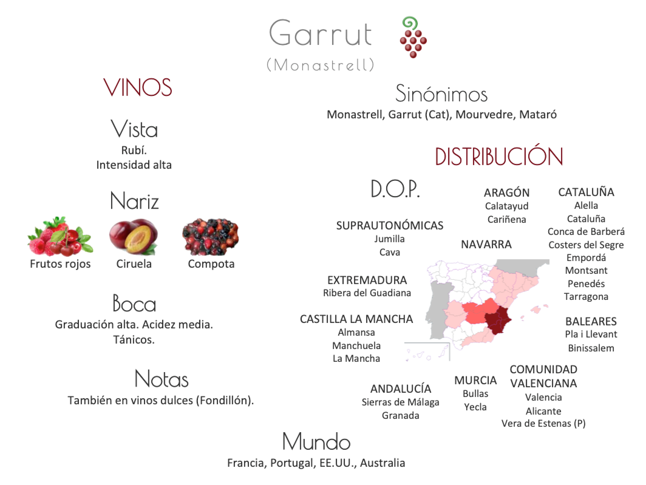 Sinónimo de Airén