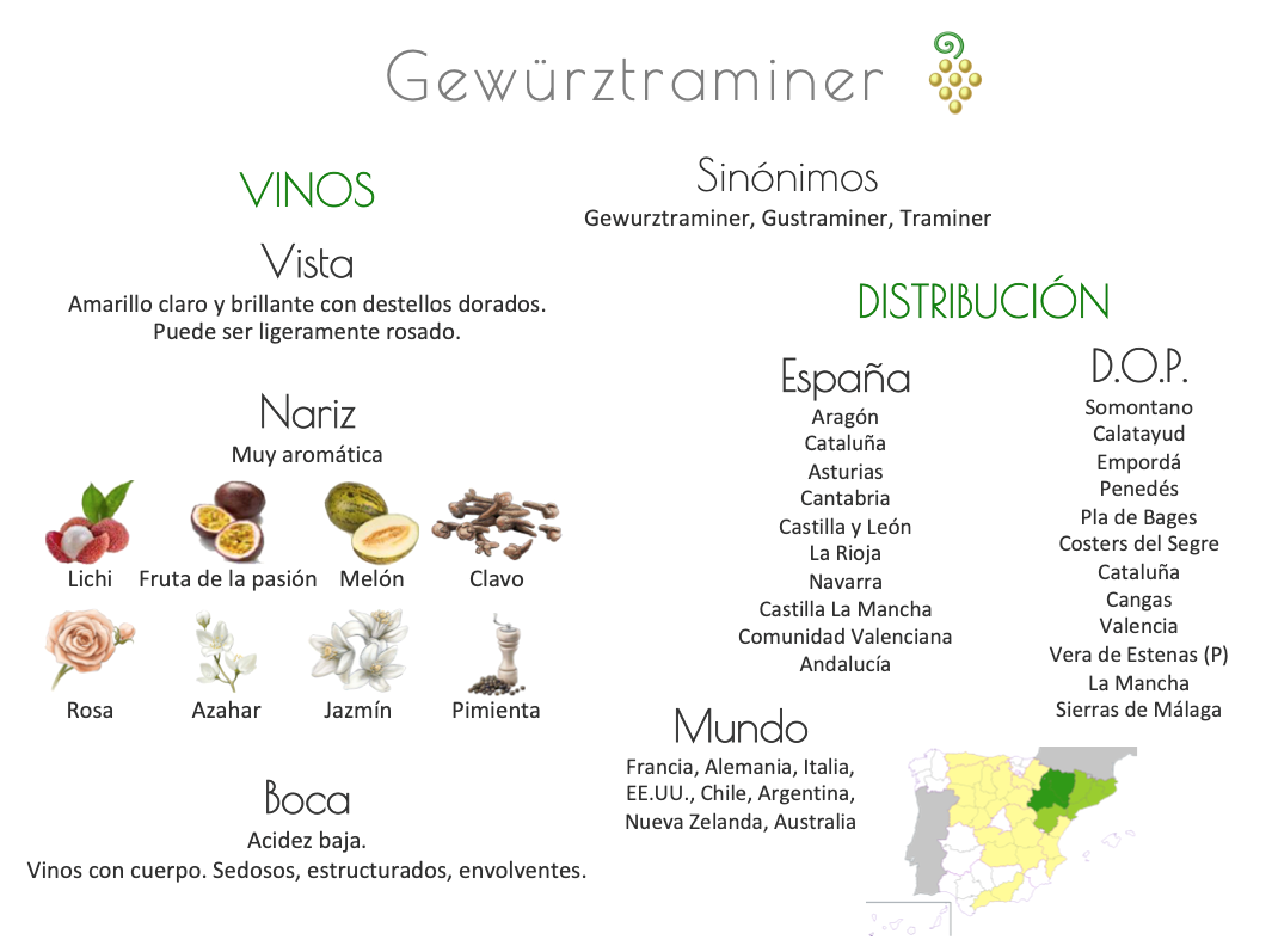 Sinónimo de Airén