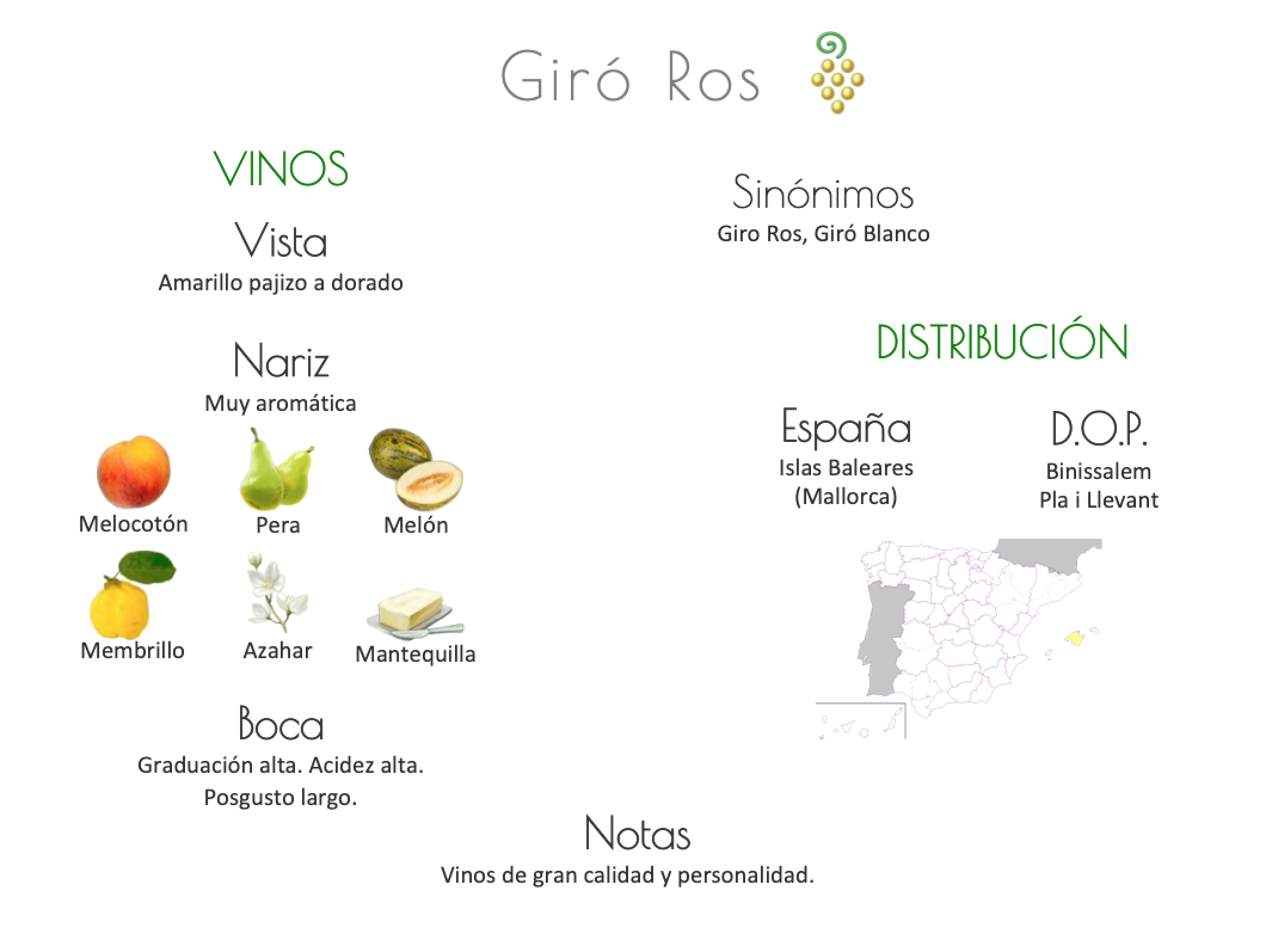 Sinónimo de Airén